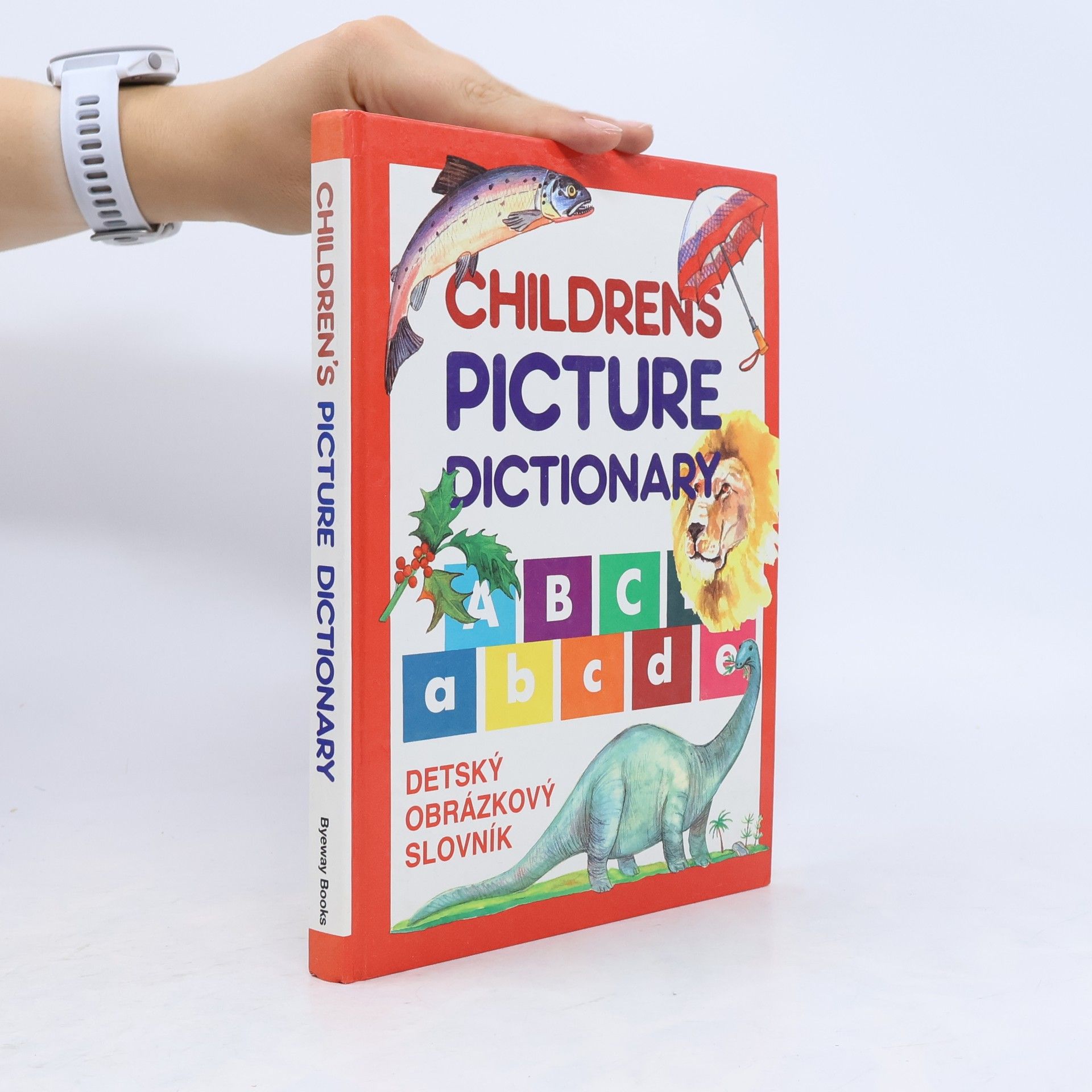 Kolektív autorov Children's Picture Dictionary