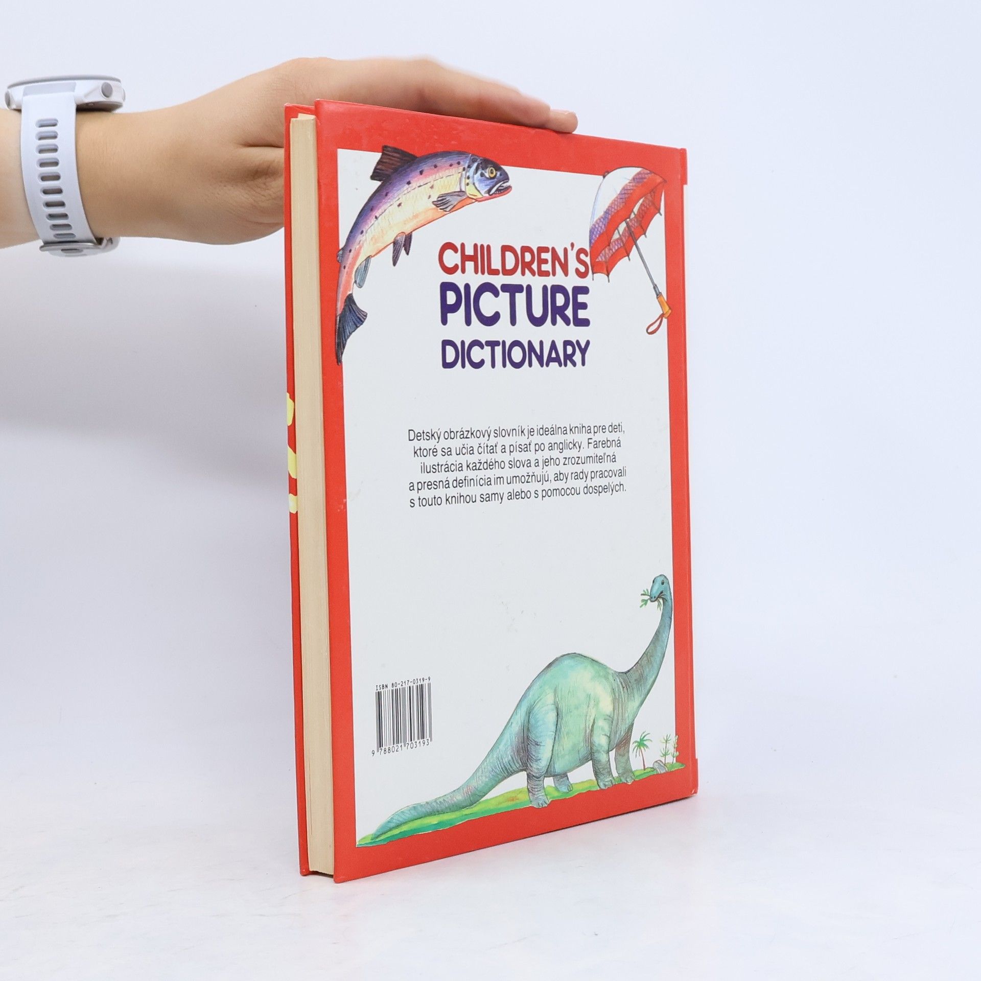 Collectif d'auteurs Children's Picture Dictionary