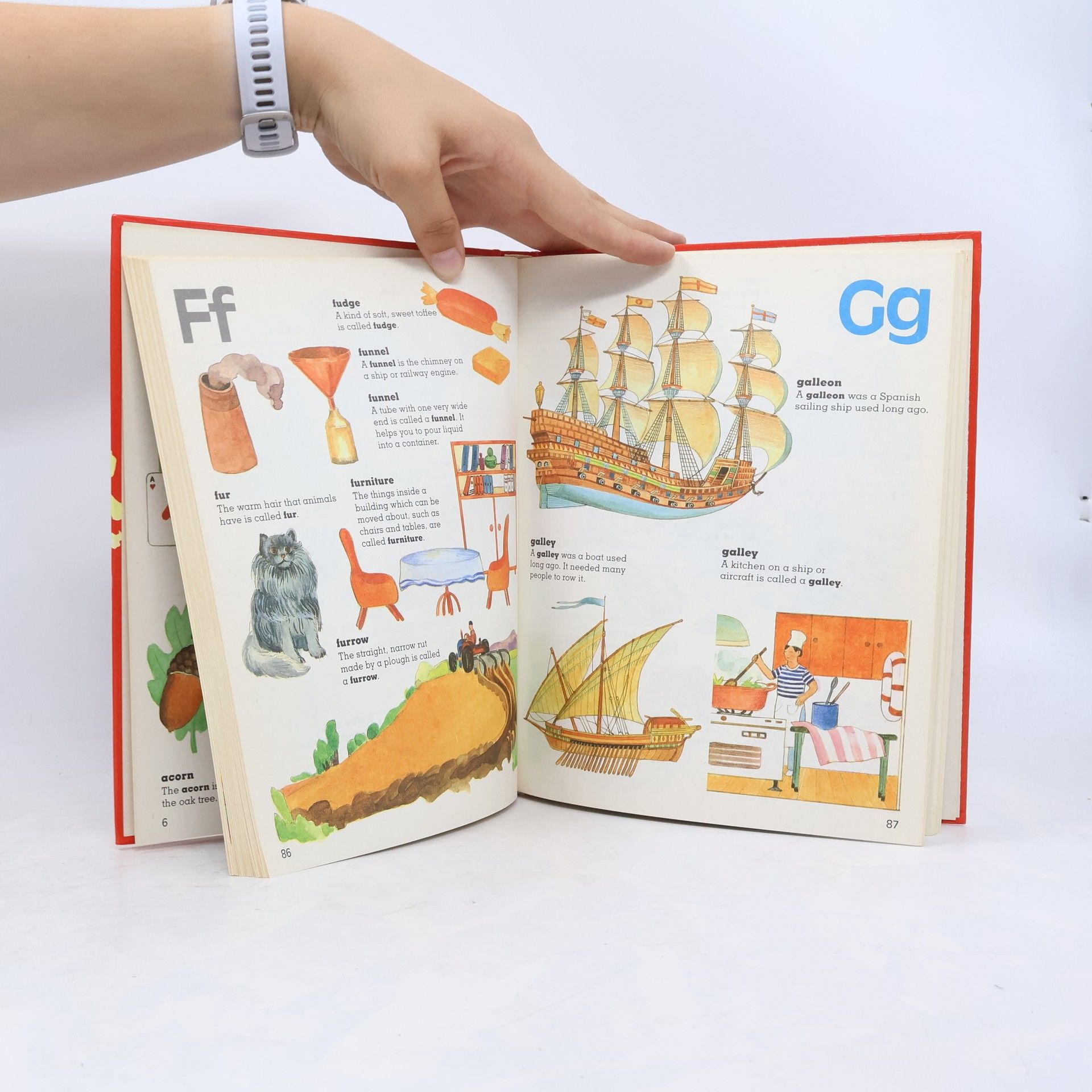 Collectif d'auteurs Children's Picture Dictionary