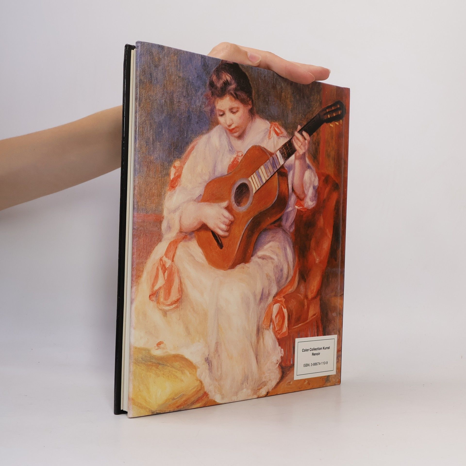 Autorenkollektiv Renoir. 48 Farbtafeln