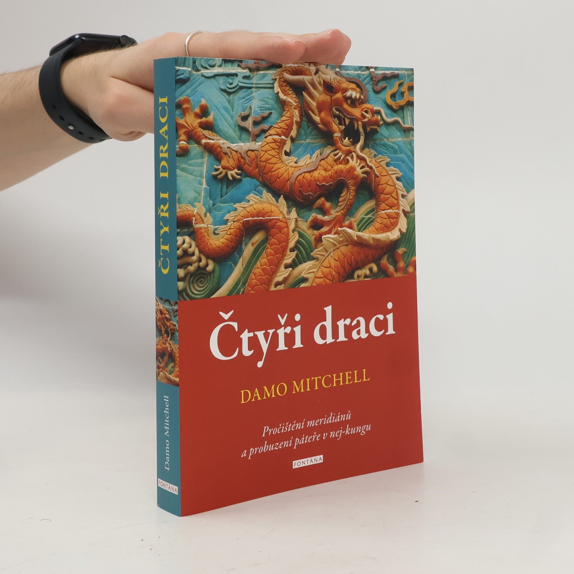 Damo Mitchell Čtyři draci