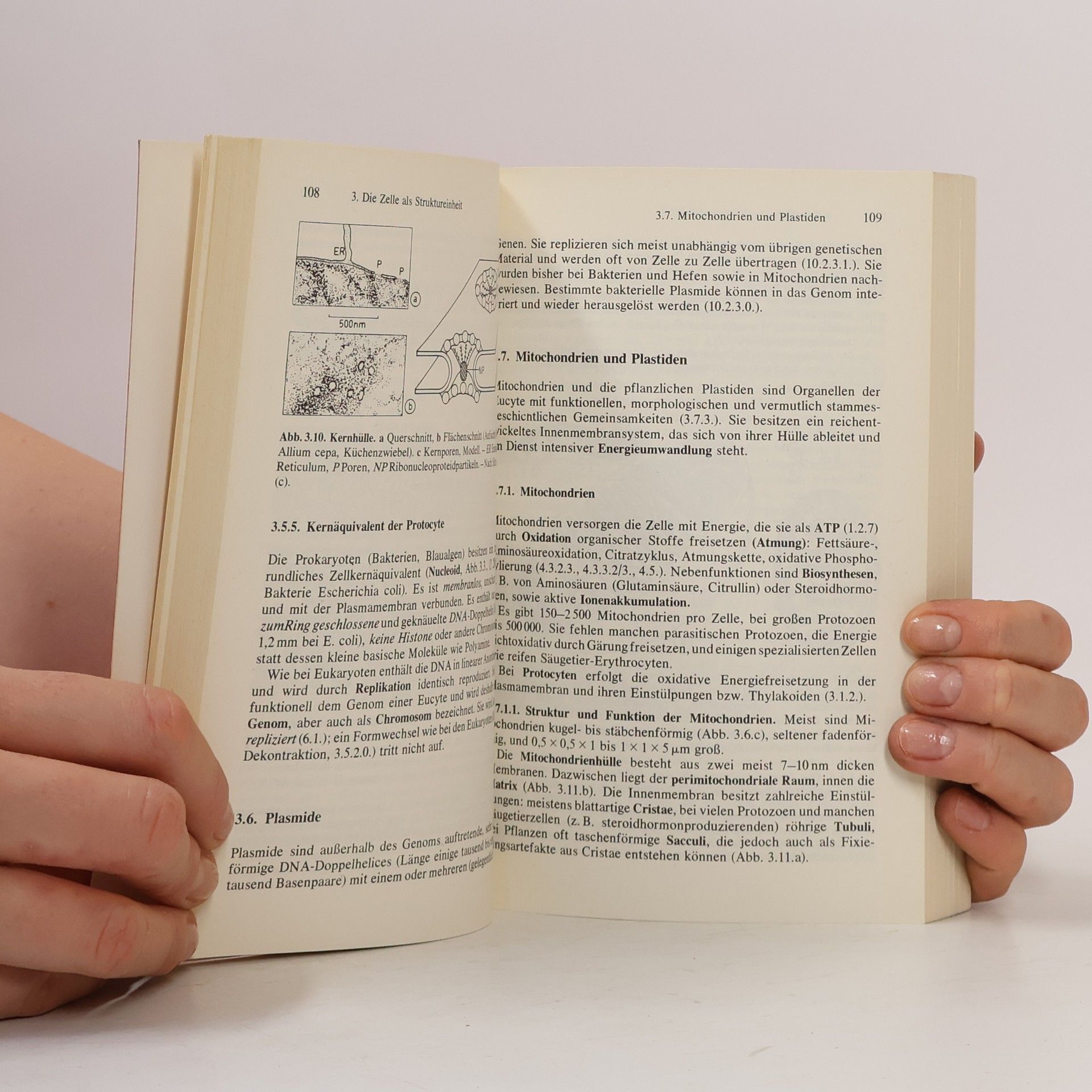 Elisabeth Günther Allgemeine Biologie