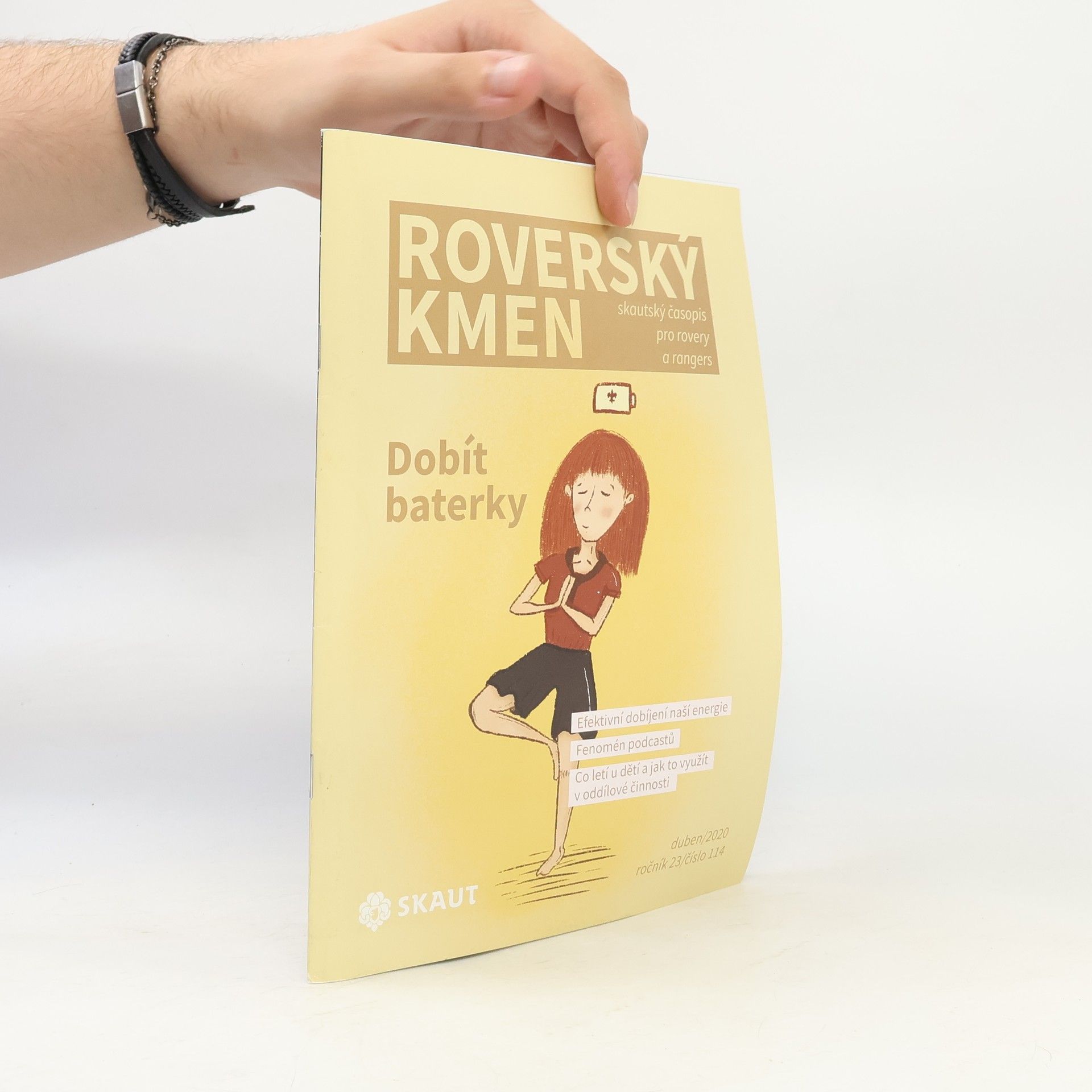 Kolektiv autorů Roverský kmen 114