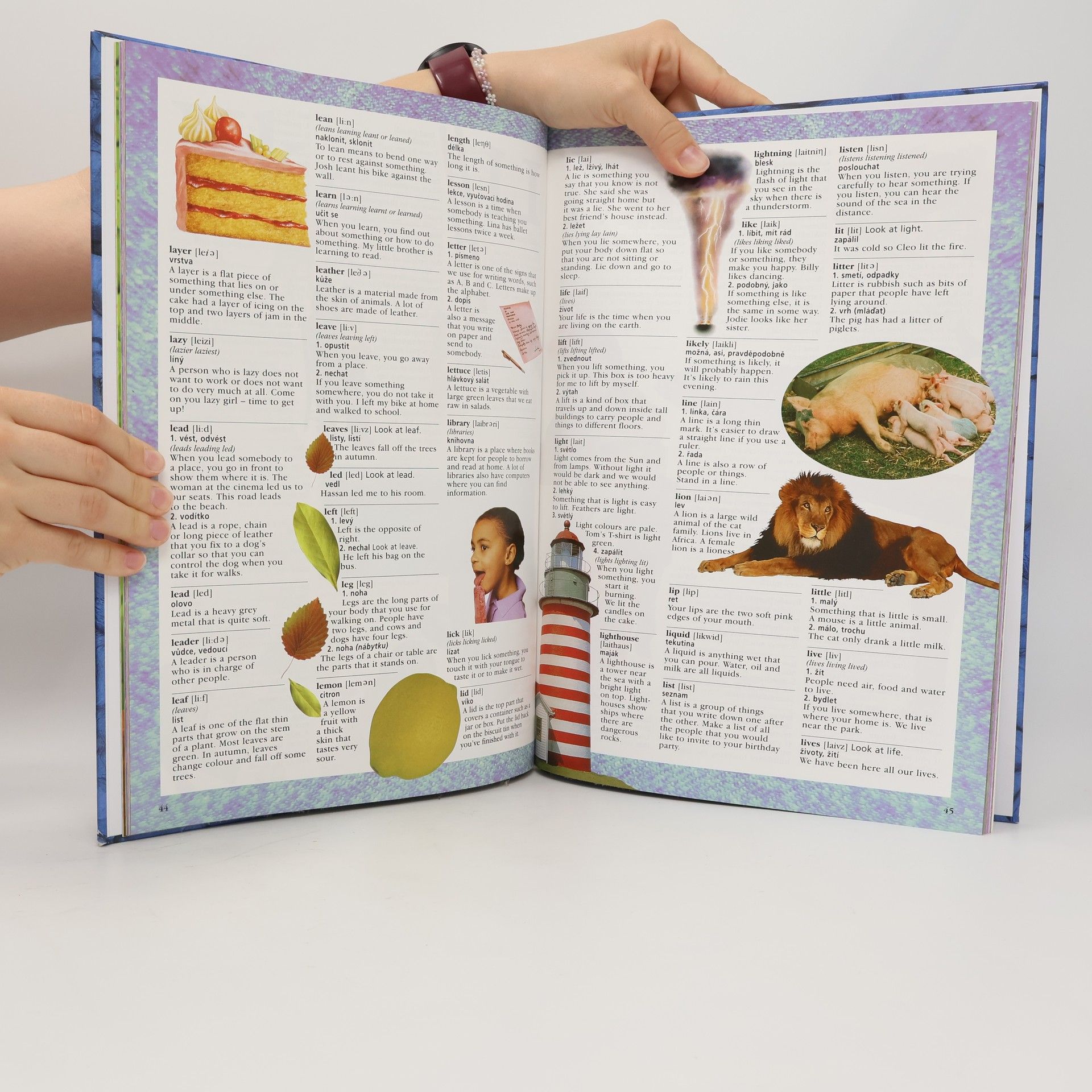 Various authors Můj první anglicko-český obrázkový slovník