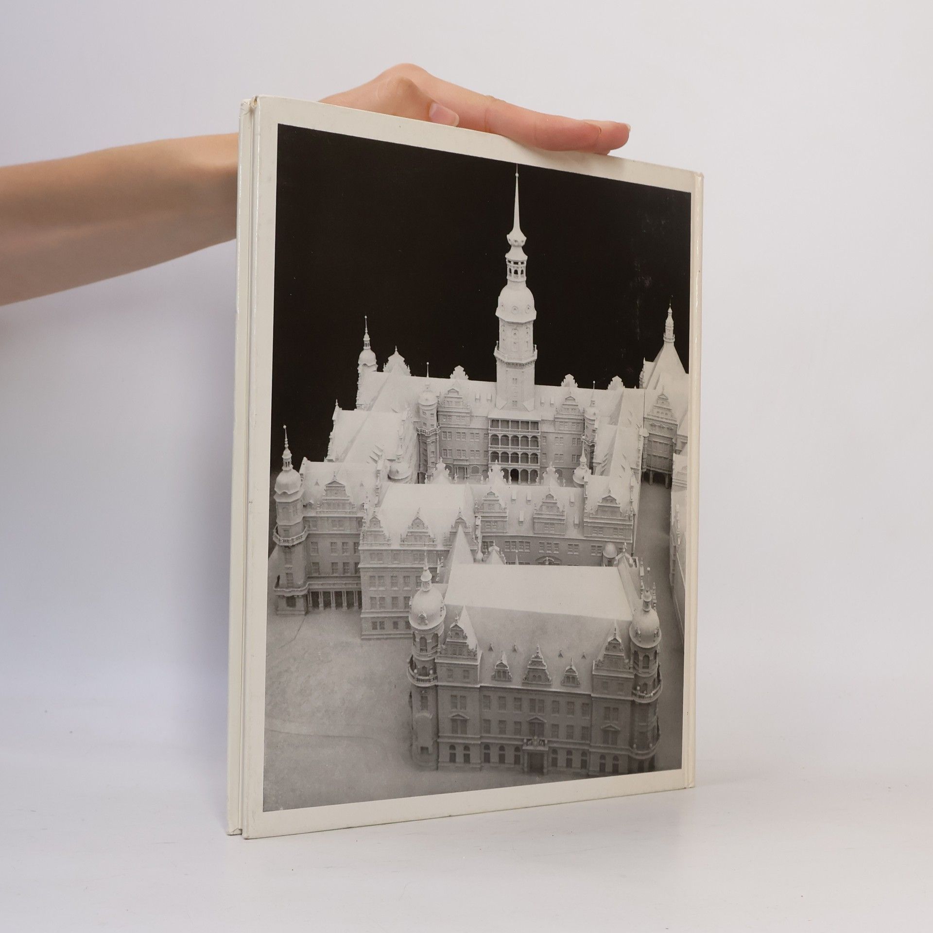 Auteurscollectief Das Dresdener Schloss: Monument sächsischer Geschichte und Kultur.