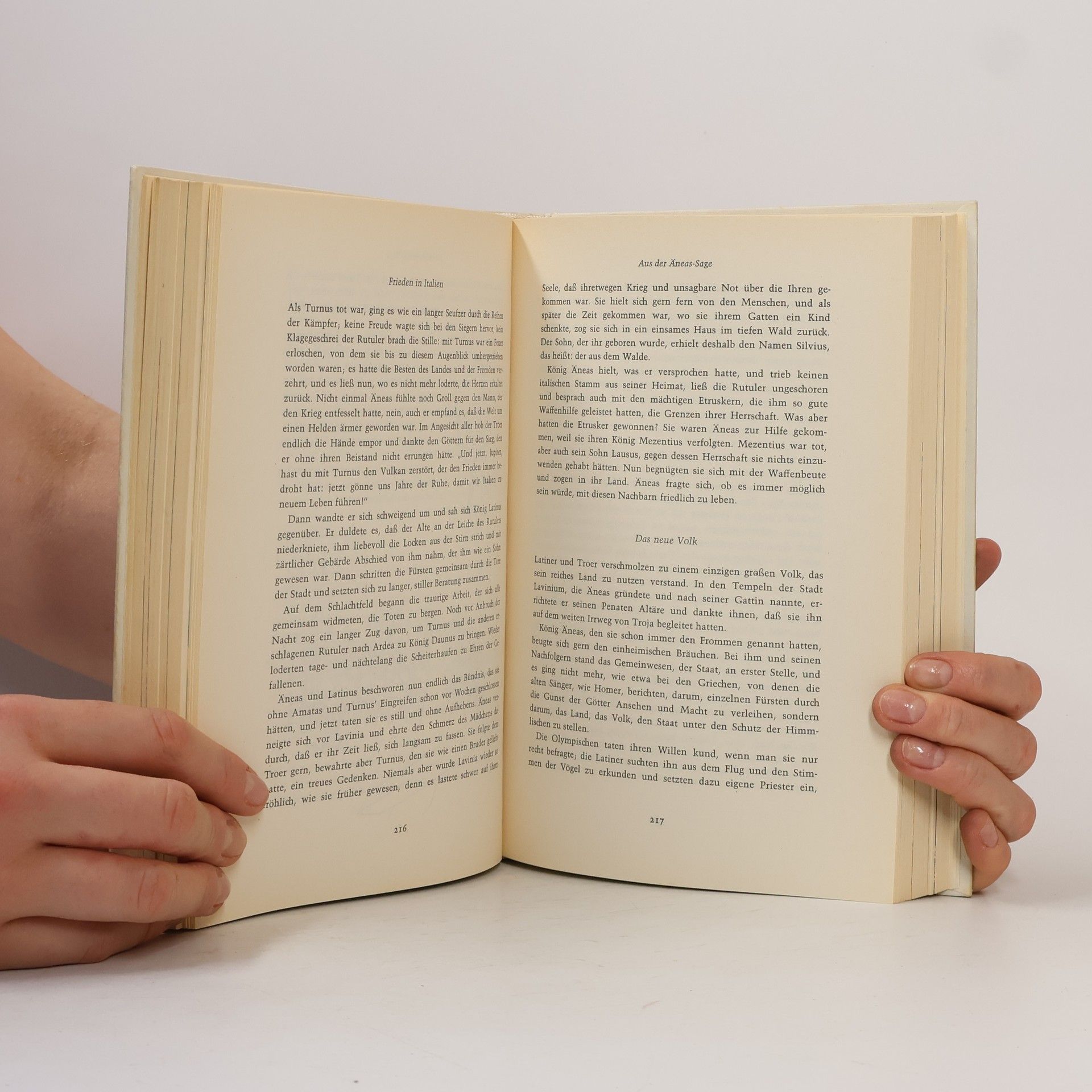Kolektív autorov Das grosse Buch der Sagen