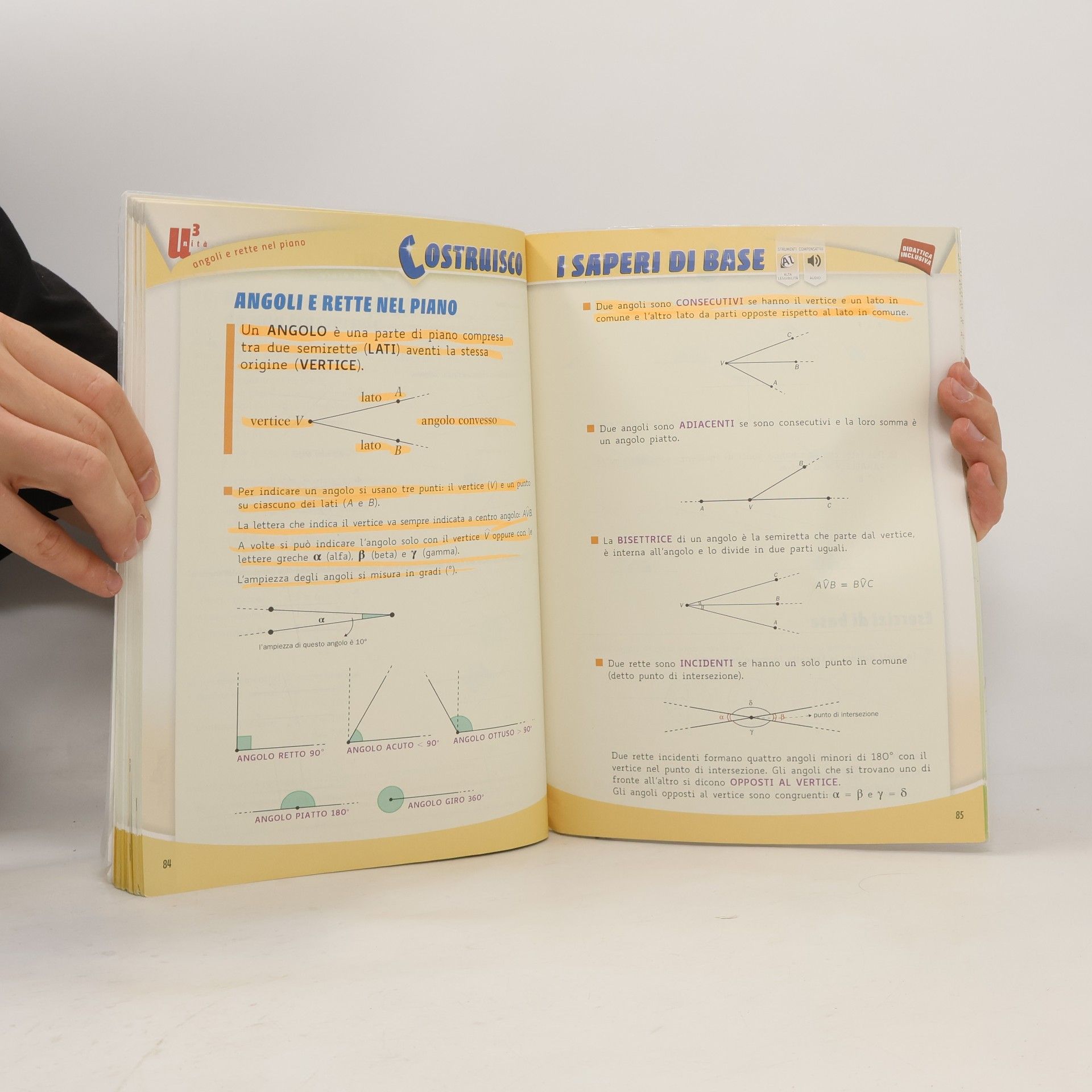 G. Bonola Il Genio e la Regola Plus. Geometria A Teoria