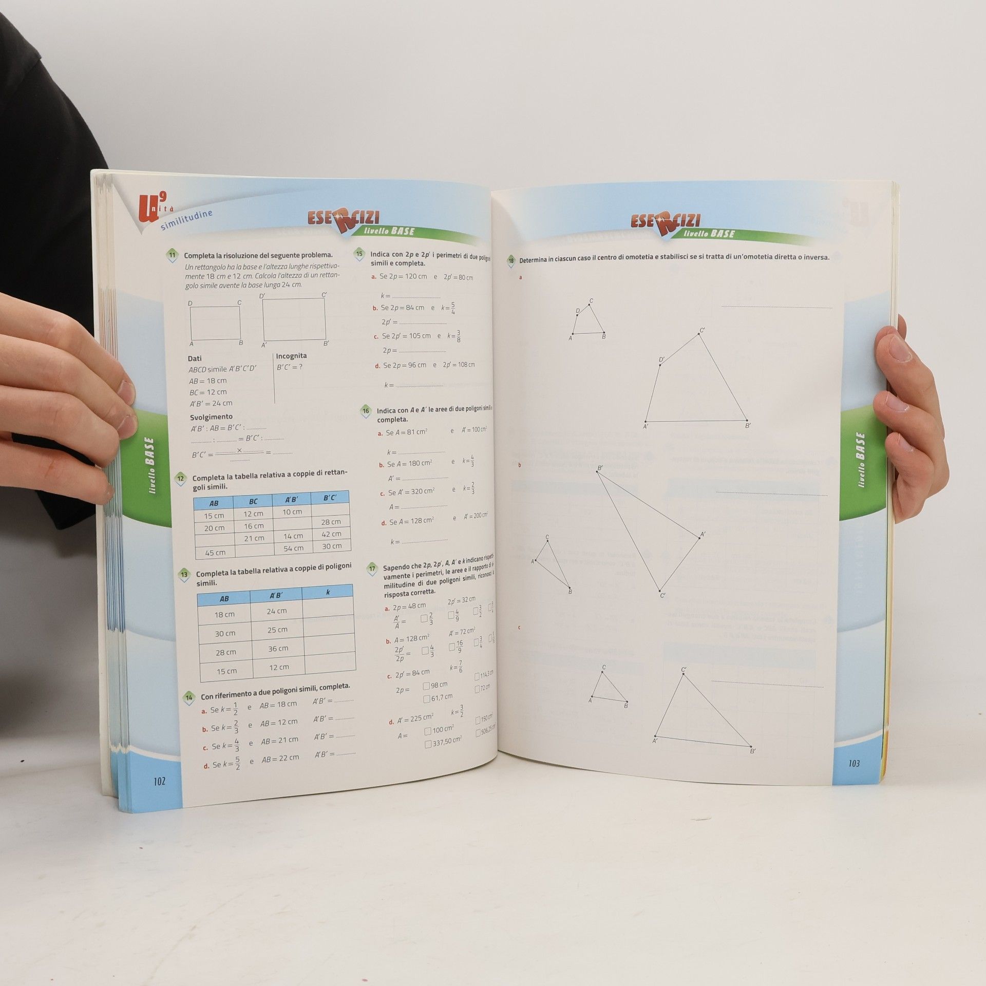 G. Bonola Il Genio e la Regola Plus. Quaderno delle Competenze 2
