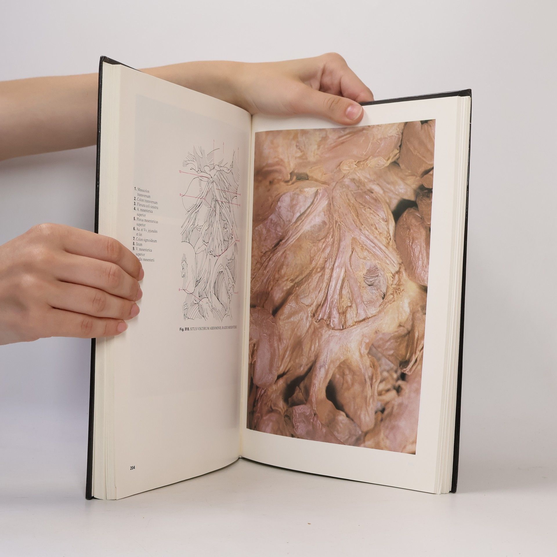 Vajda János Anatomischer Atlas