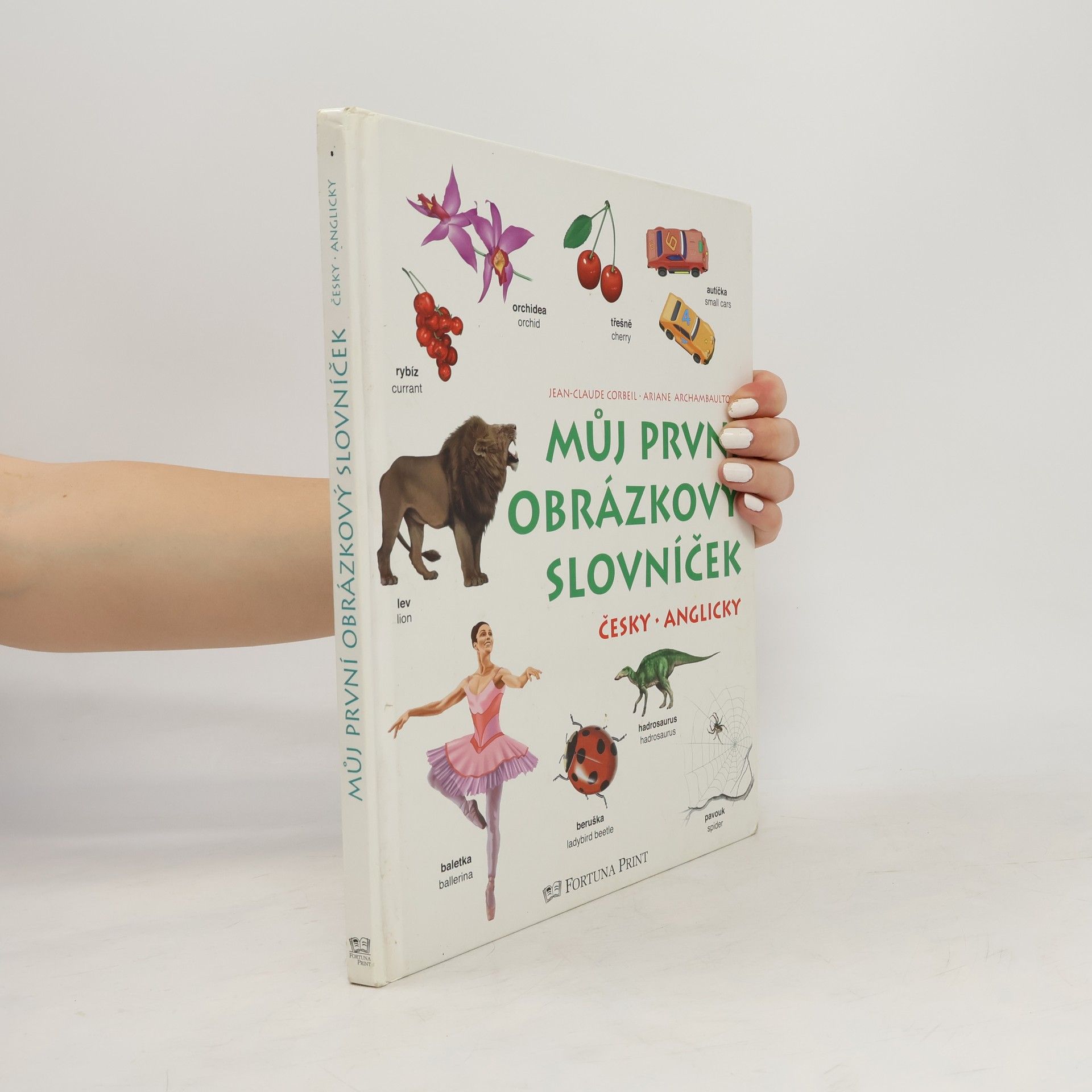 Autorenkollektiv Můj první obrázkový slovníček