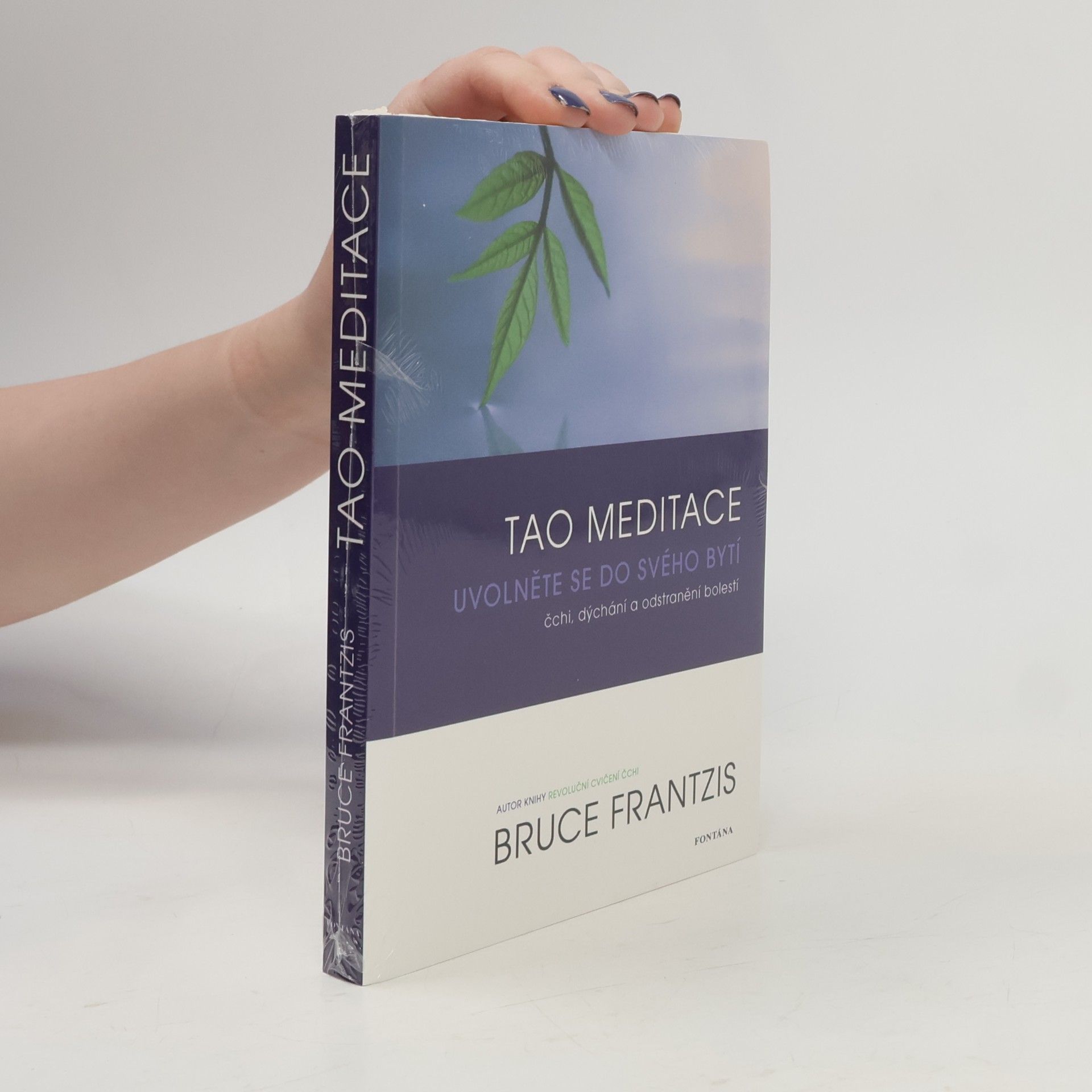 Bruce Frantzis Tao meditace. Uvolněte se do svého bytí: čchi, dýchání a odstranění bolesti