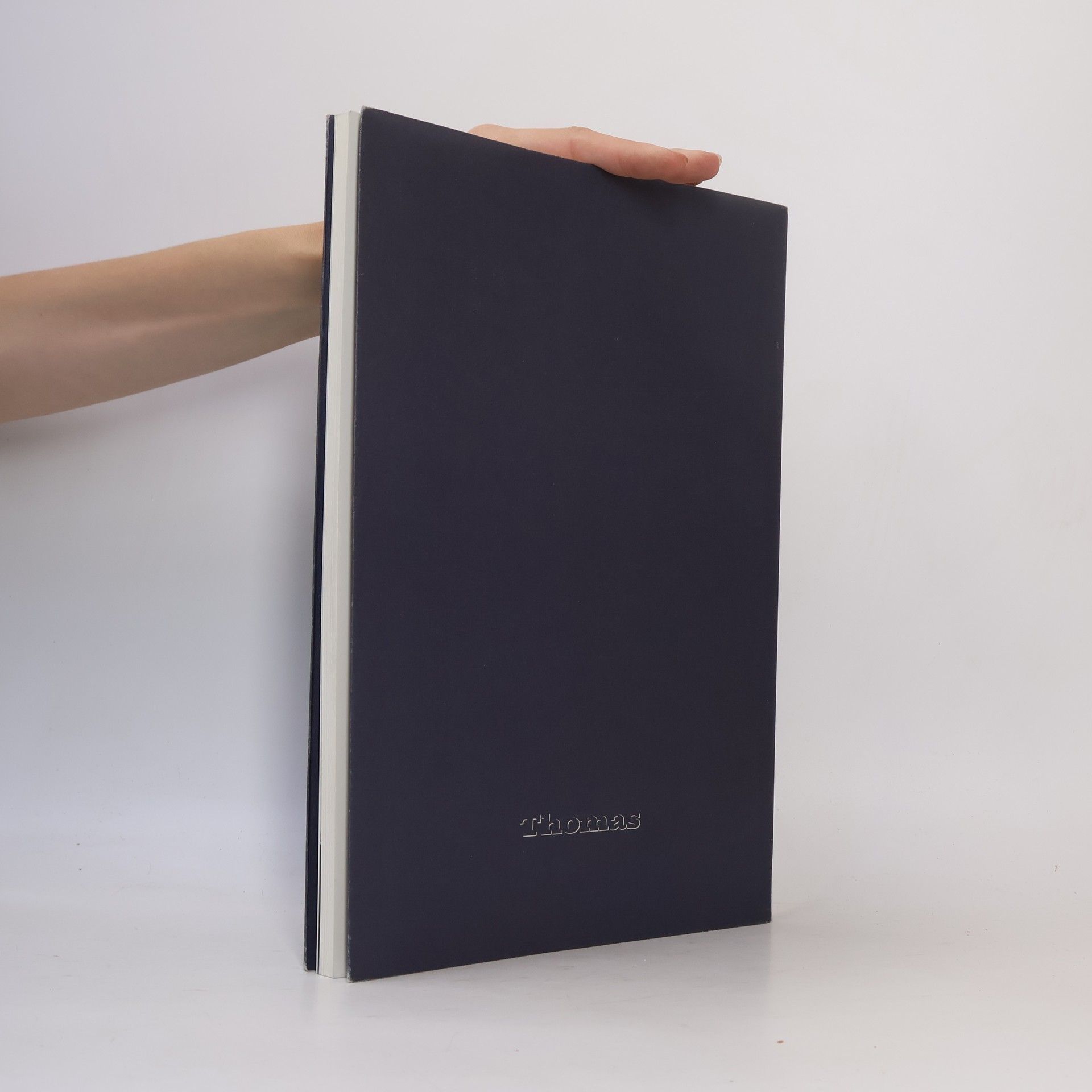 Autores varios Picasso bei Thomas