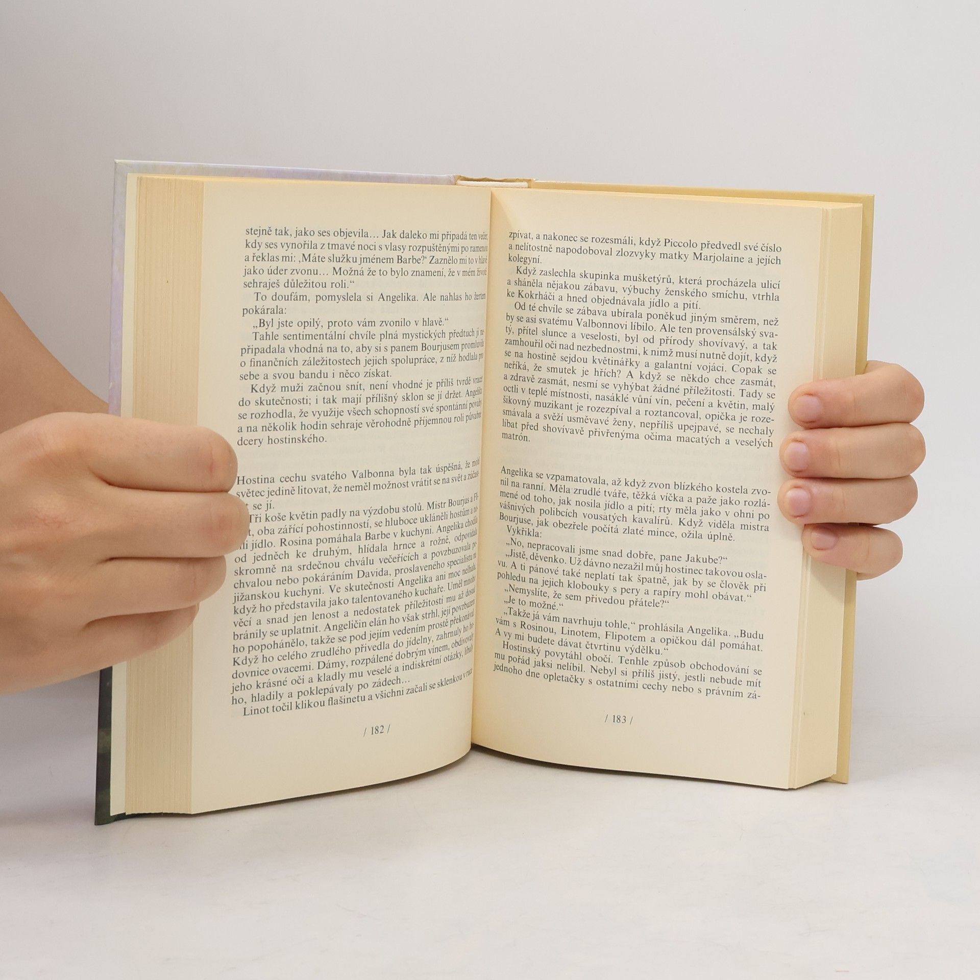 Anne Golon Angelika 2 – Cesta do Versailles