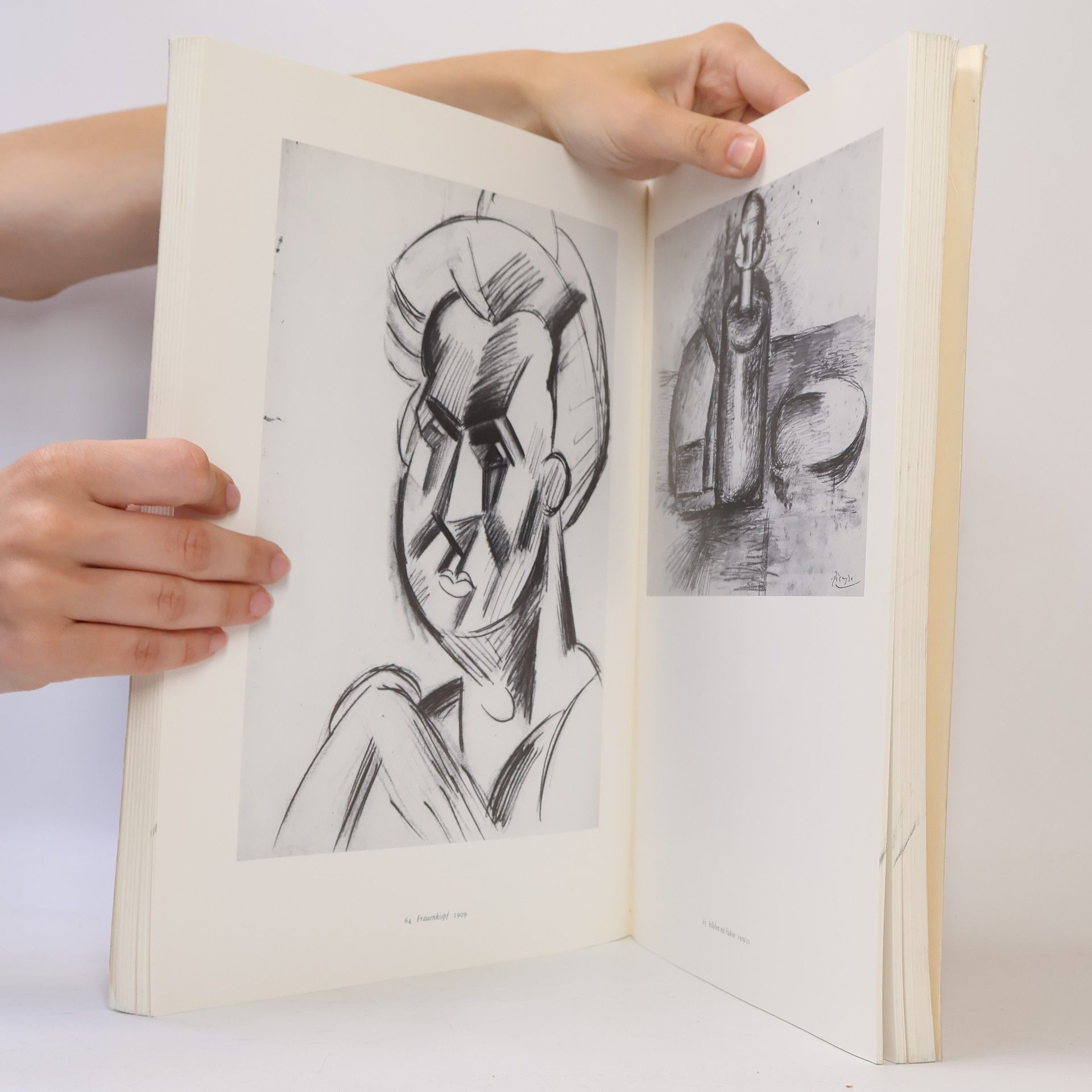 Werner Spies Picasso