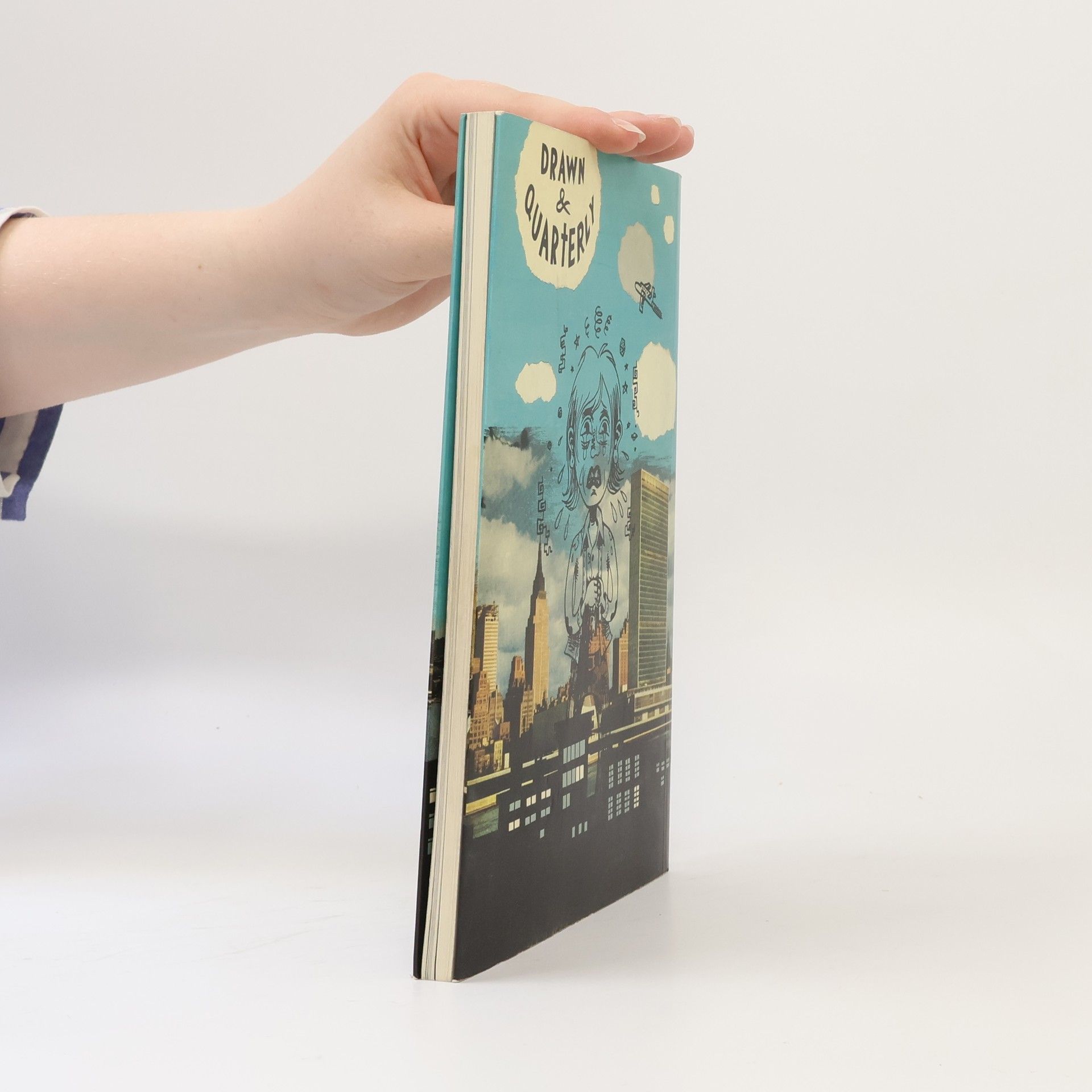Julie Doucet My New York Diary