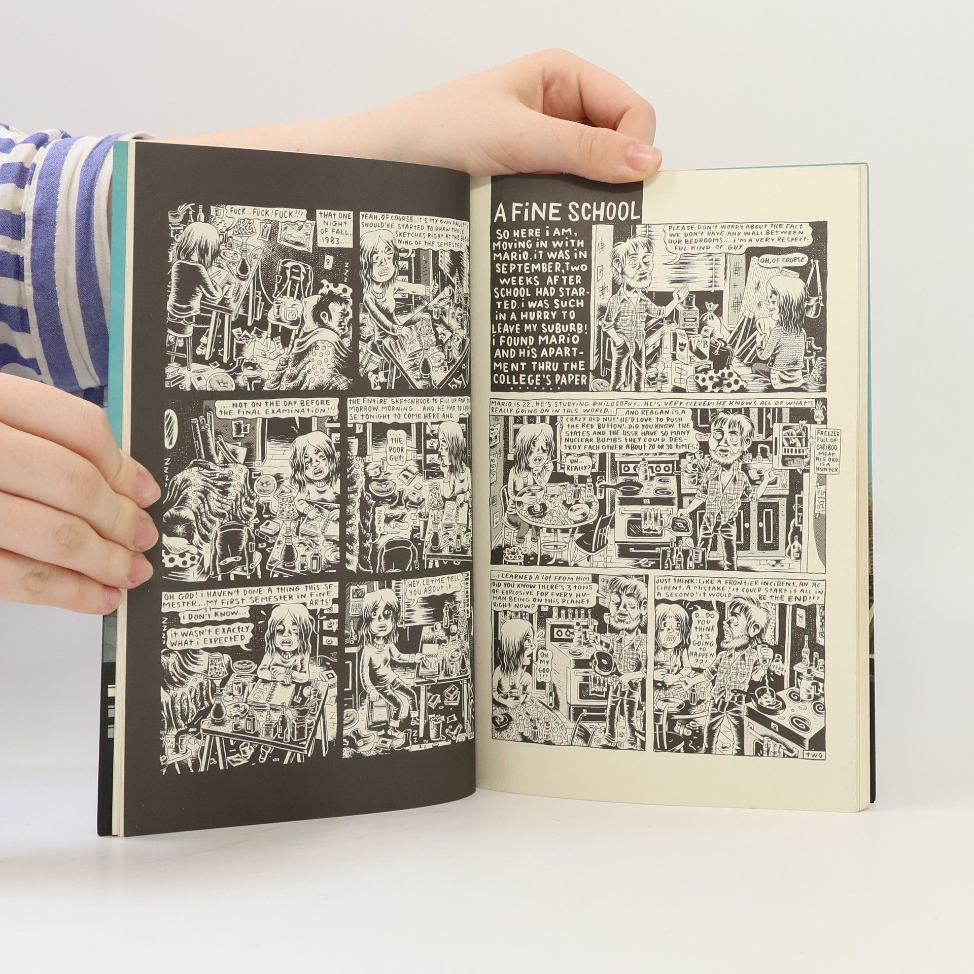 Julie Doucet My New York Diary