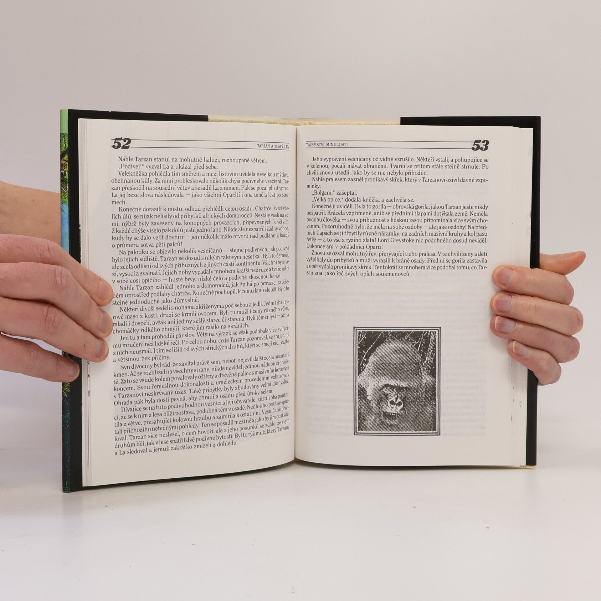 Edgar Rice Burroughs Tarzan a zlatý lev
