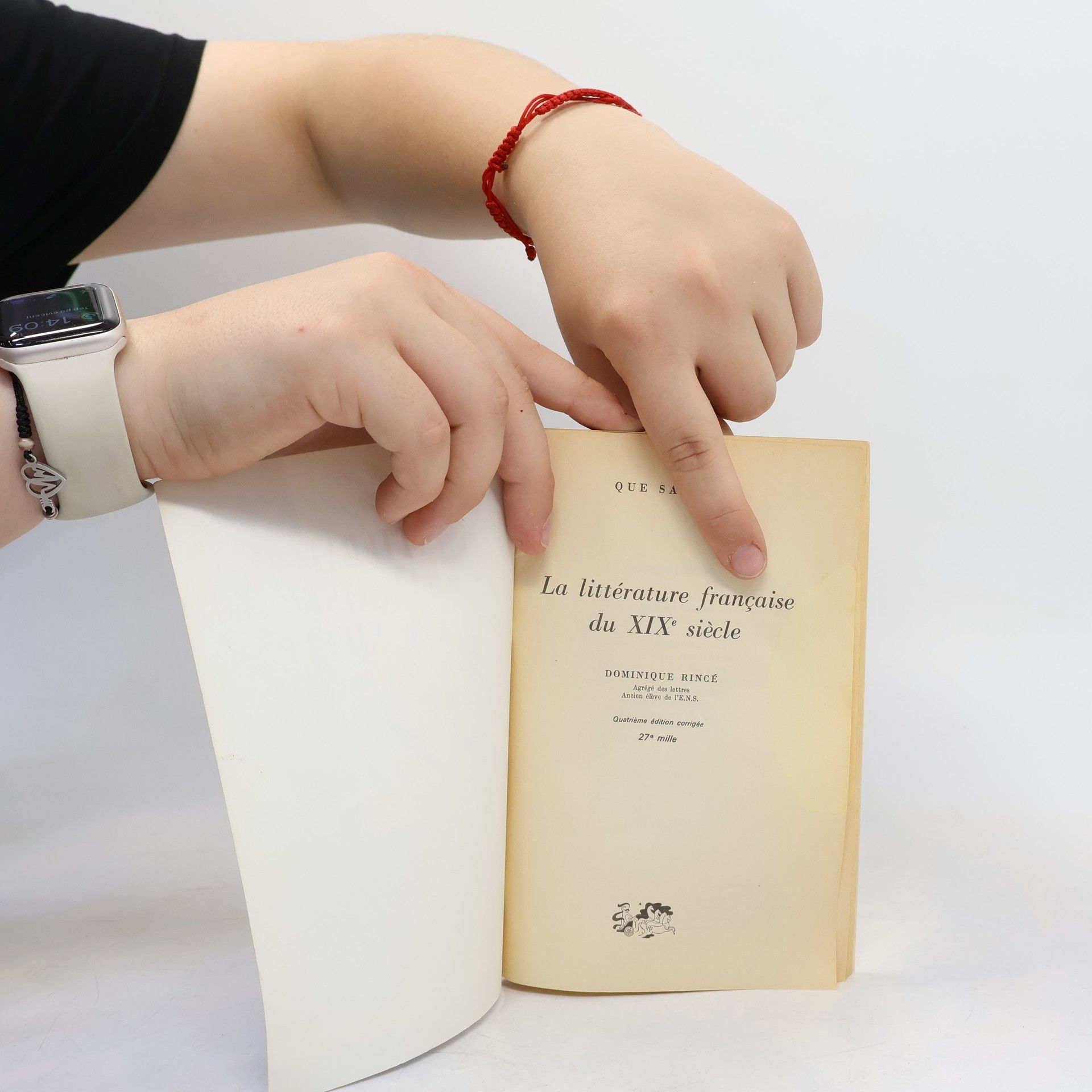 Dominique Rincé Que sais-je? - 1742: La littérature française du XIXe siècle