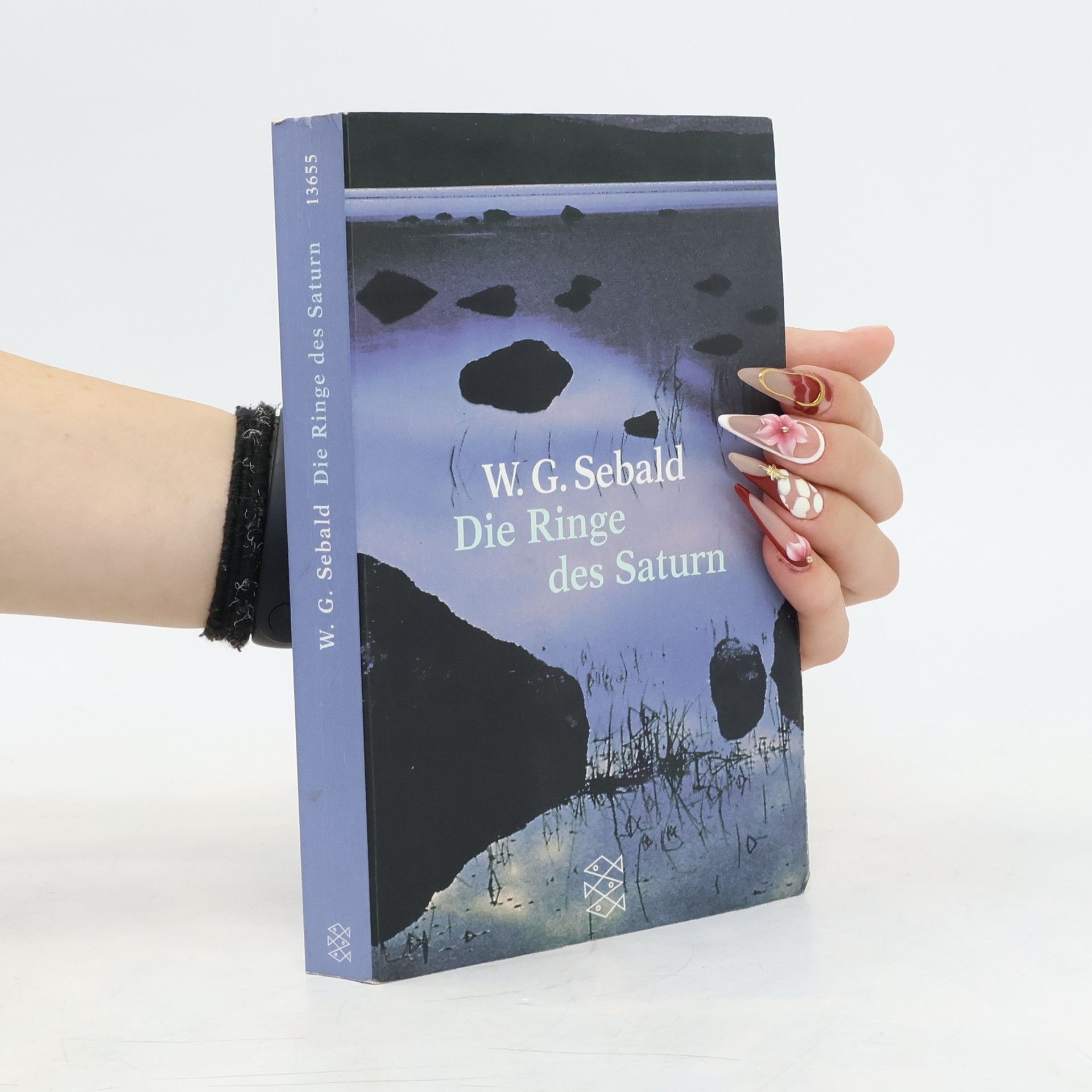 W. G. Sebald Die Ringe des Saturn