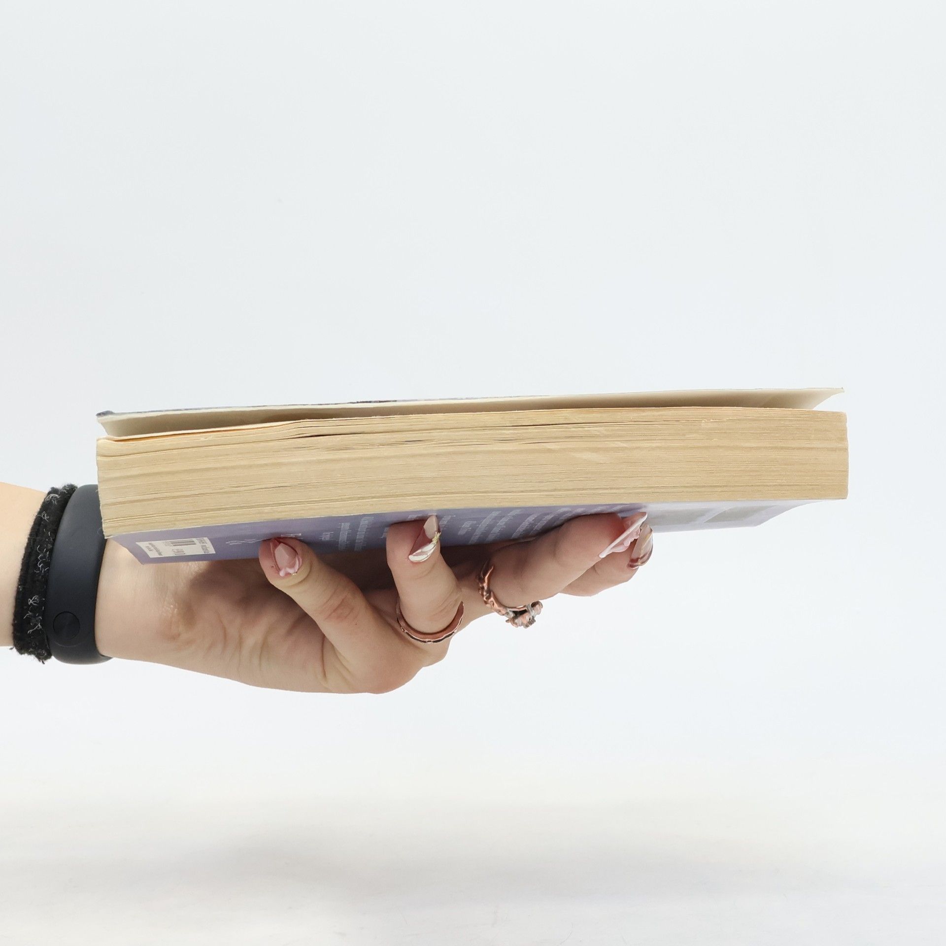 W. G. Sebald Die Ringe des Saturn