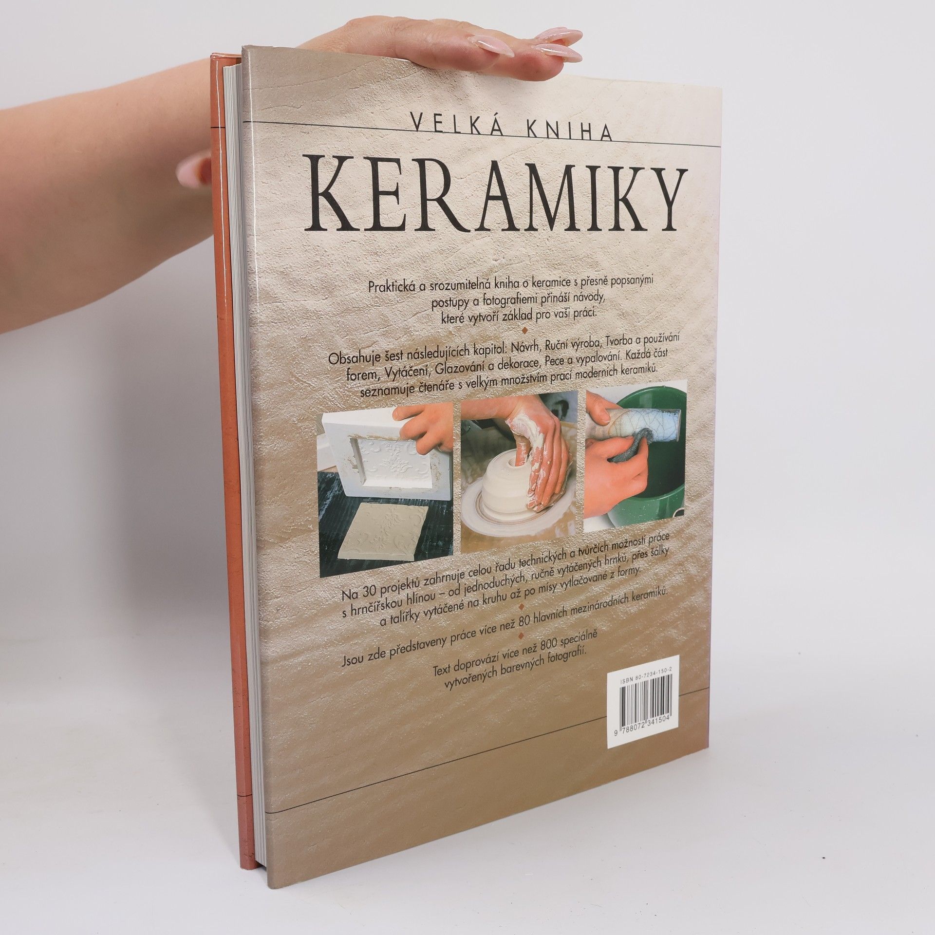 Josie Warshaw Velká kniha keramiky