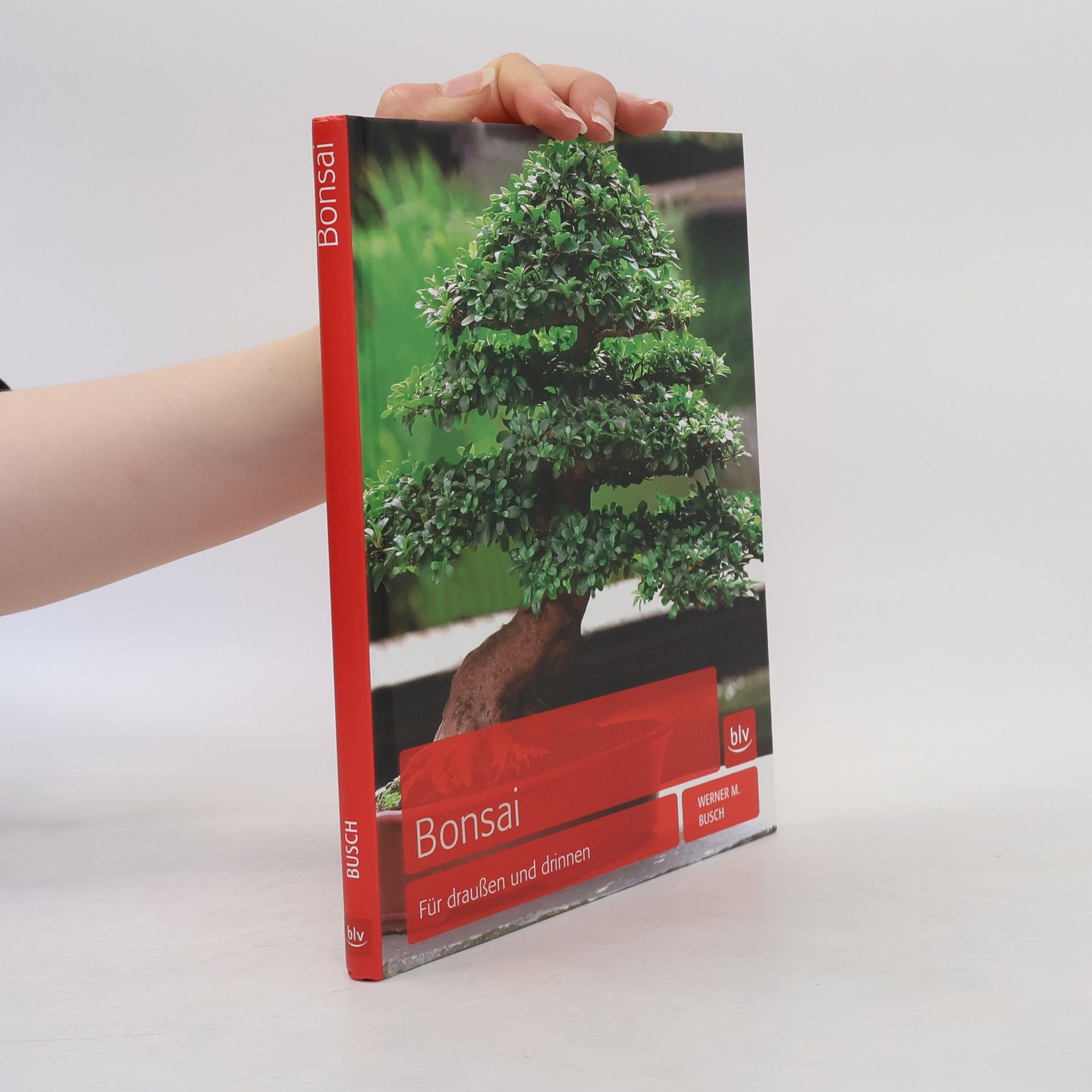 Werner M. Busch Bonsai