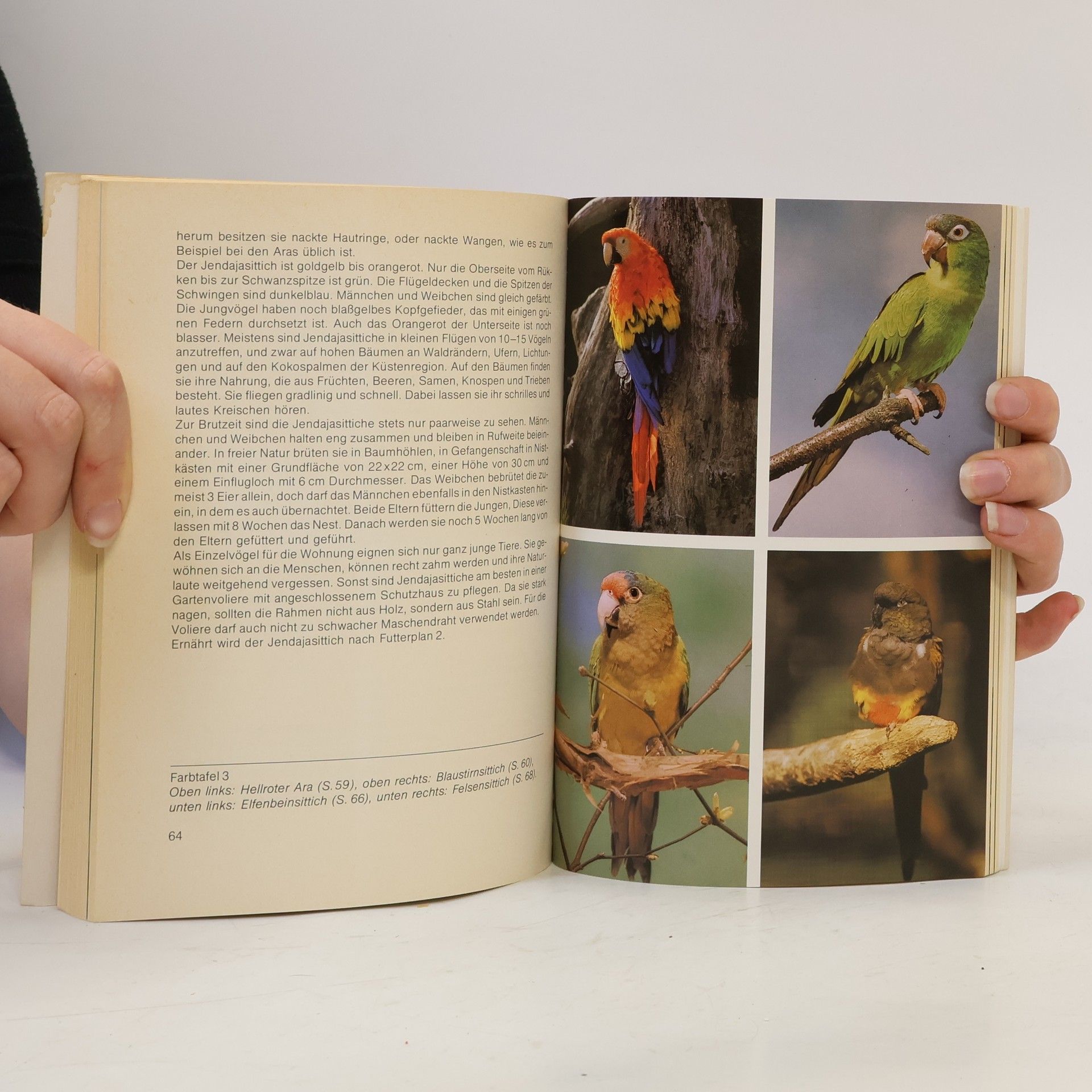 Horst Bielfeld Papageien und Sittiche