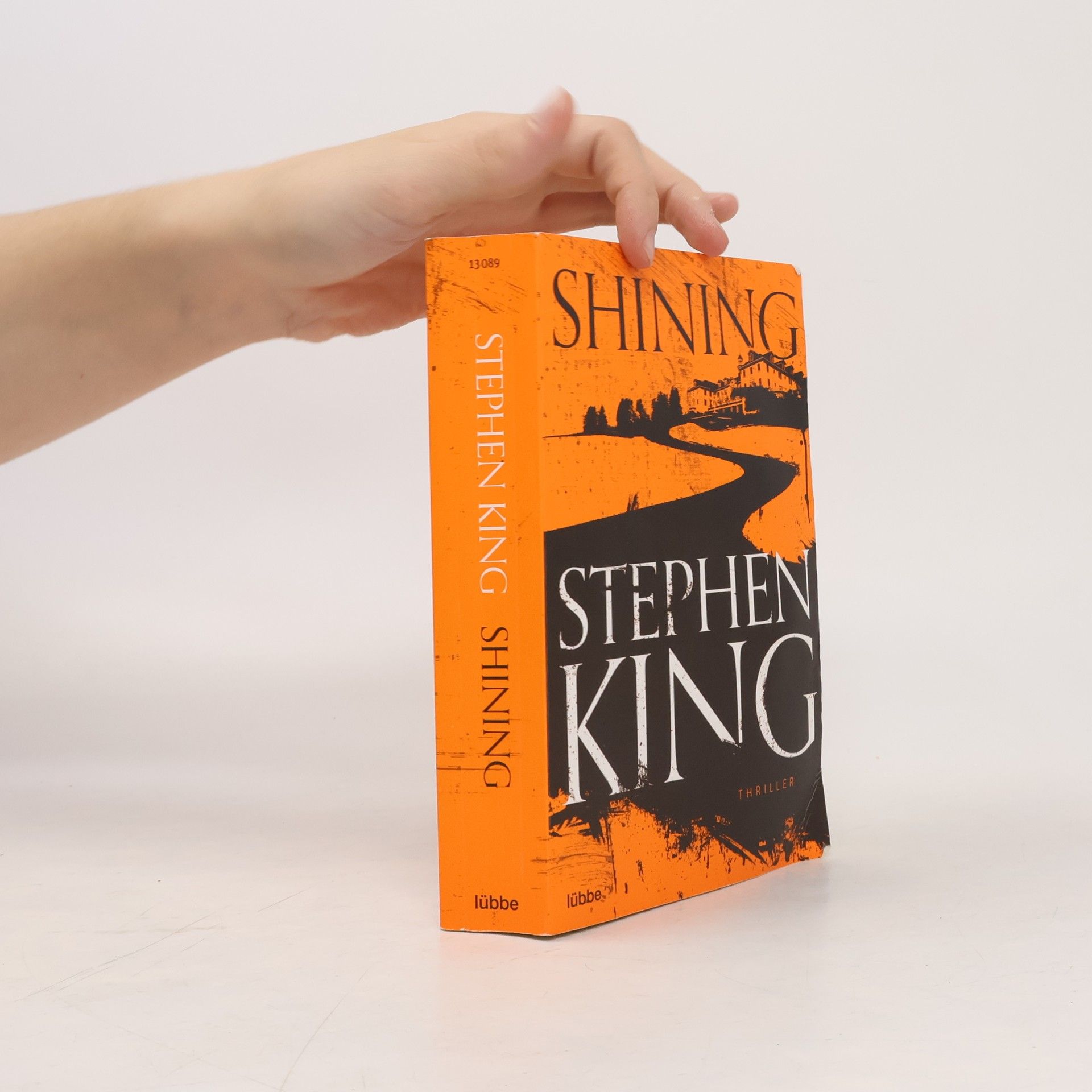 Stephen King Shining