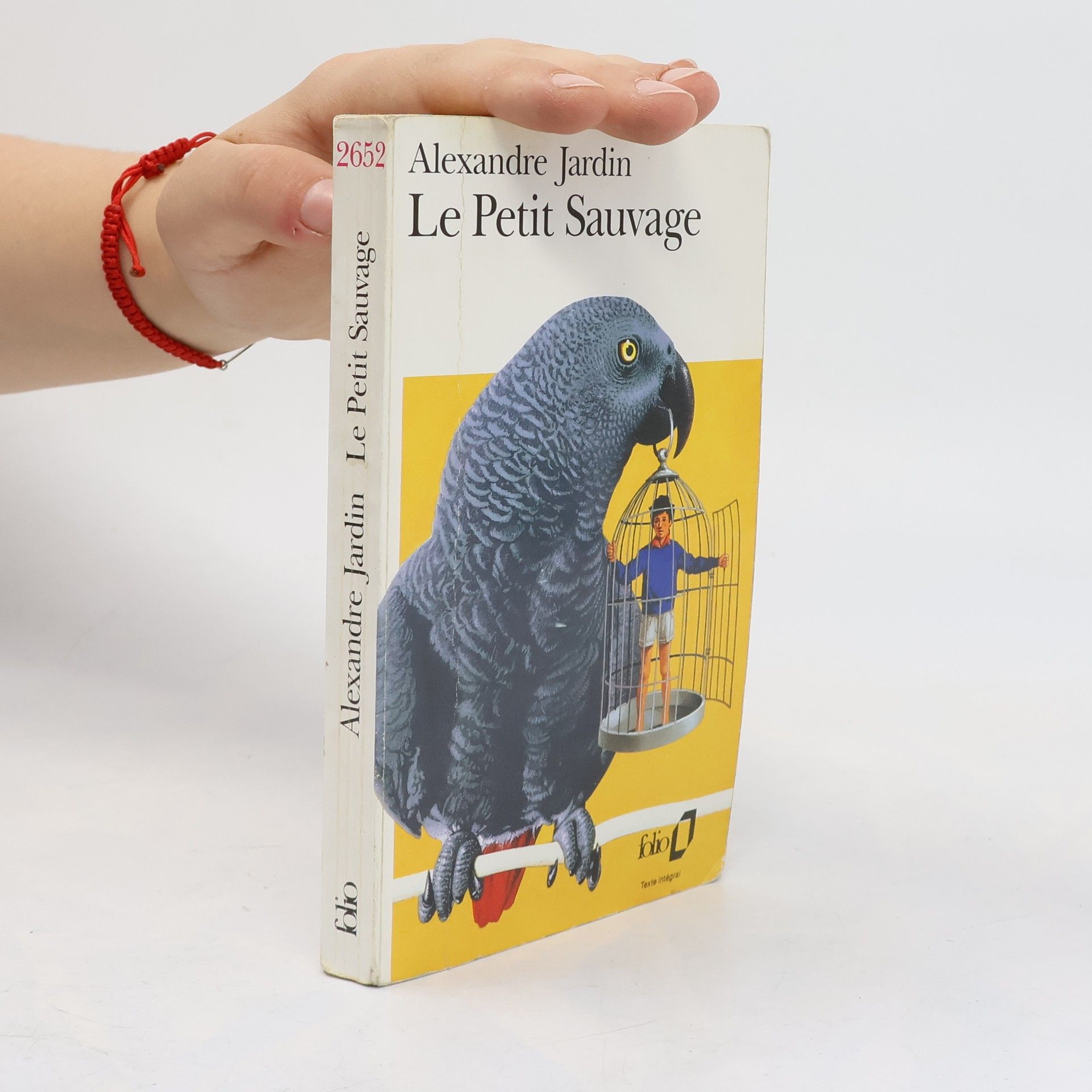 Alexandre Jardin Le Petit Sauvage