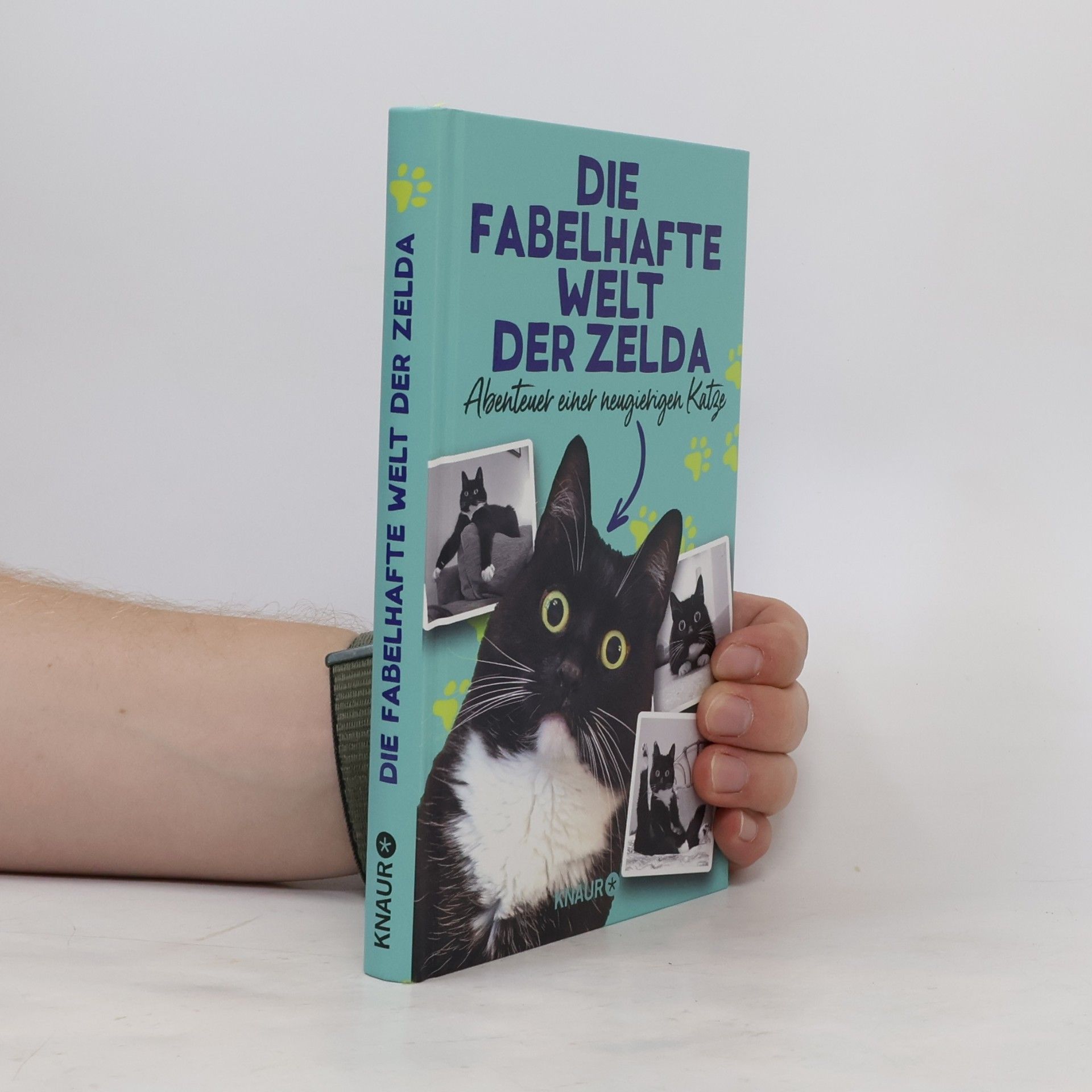 Zelda Die fabelhafte Welt der Zelda