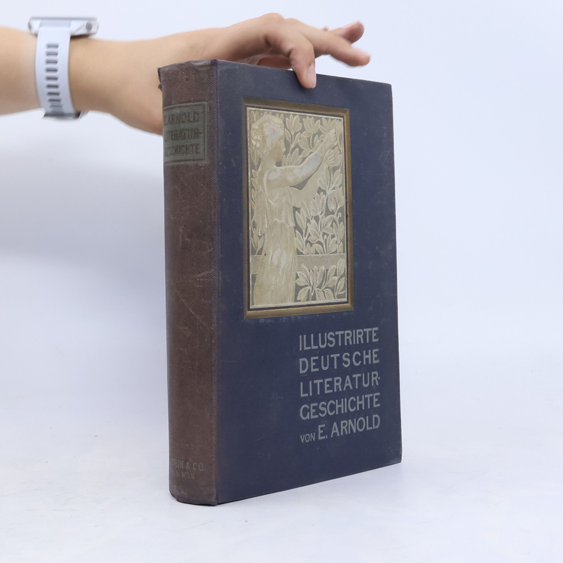 E. Arnold Illustrirte deutsche literaturgeschichte