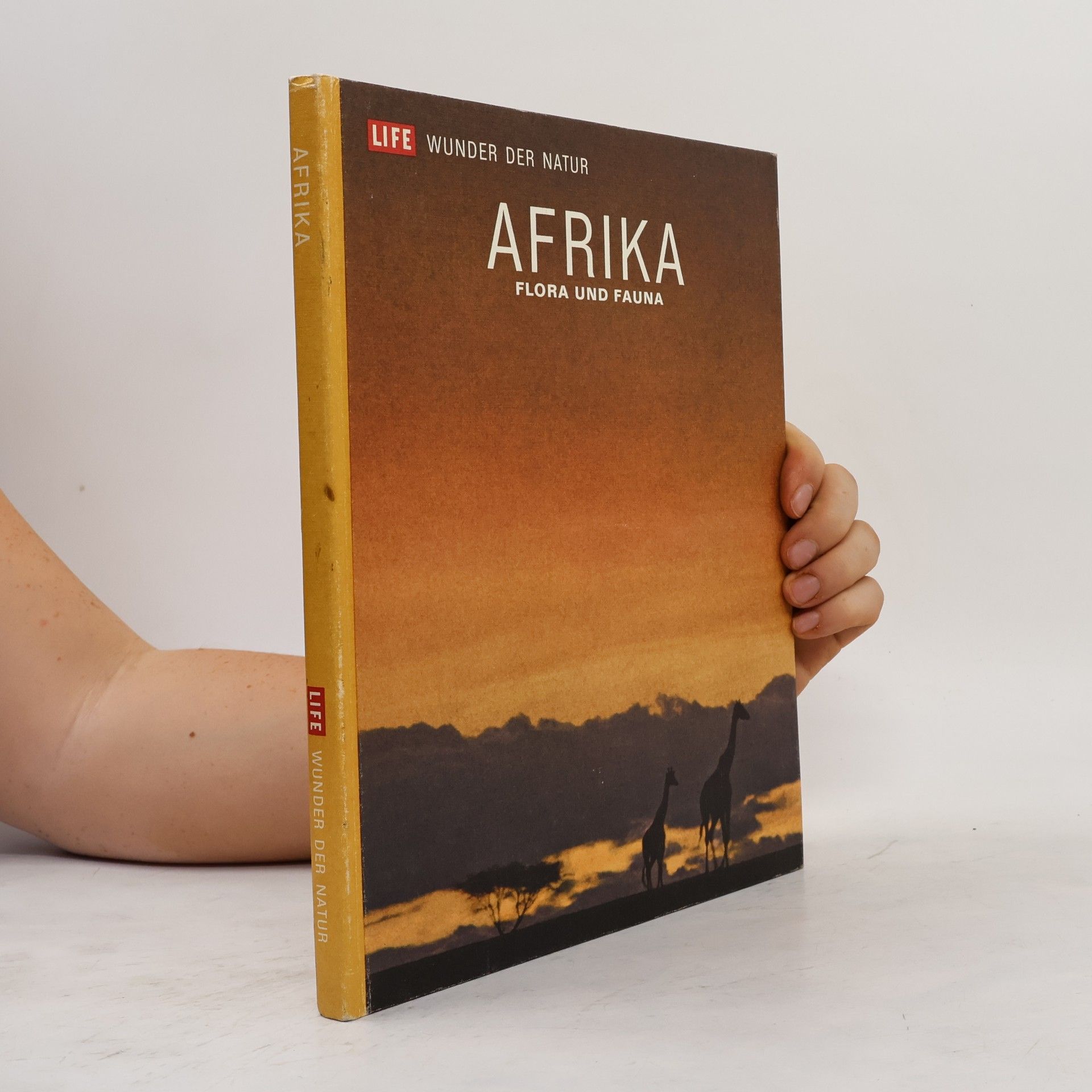 Autorenkollektiv Afrika. Flora und Fauna