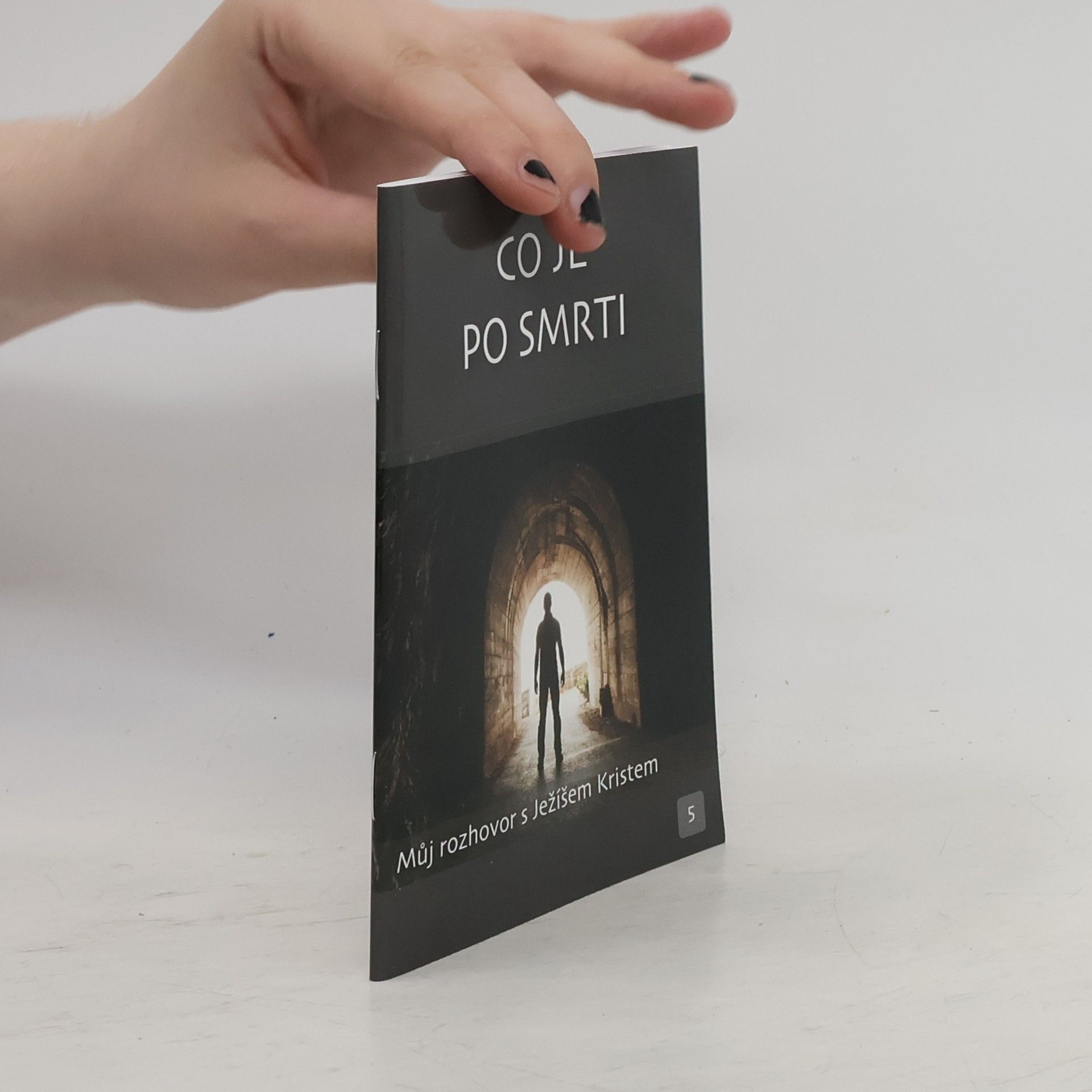 Autorenkollektiv Můj rozhovor s Ježíšem Kristem: Co je po smrti