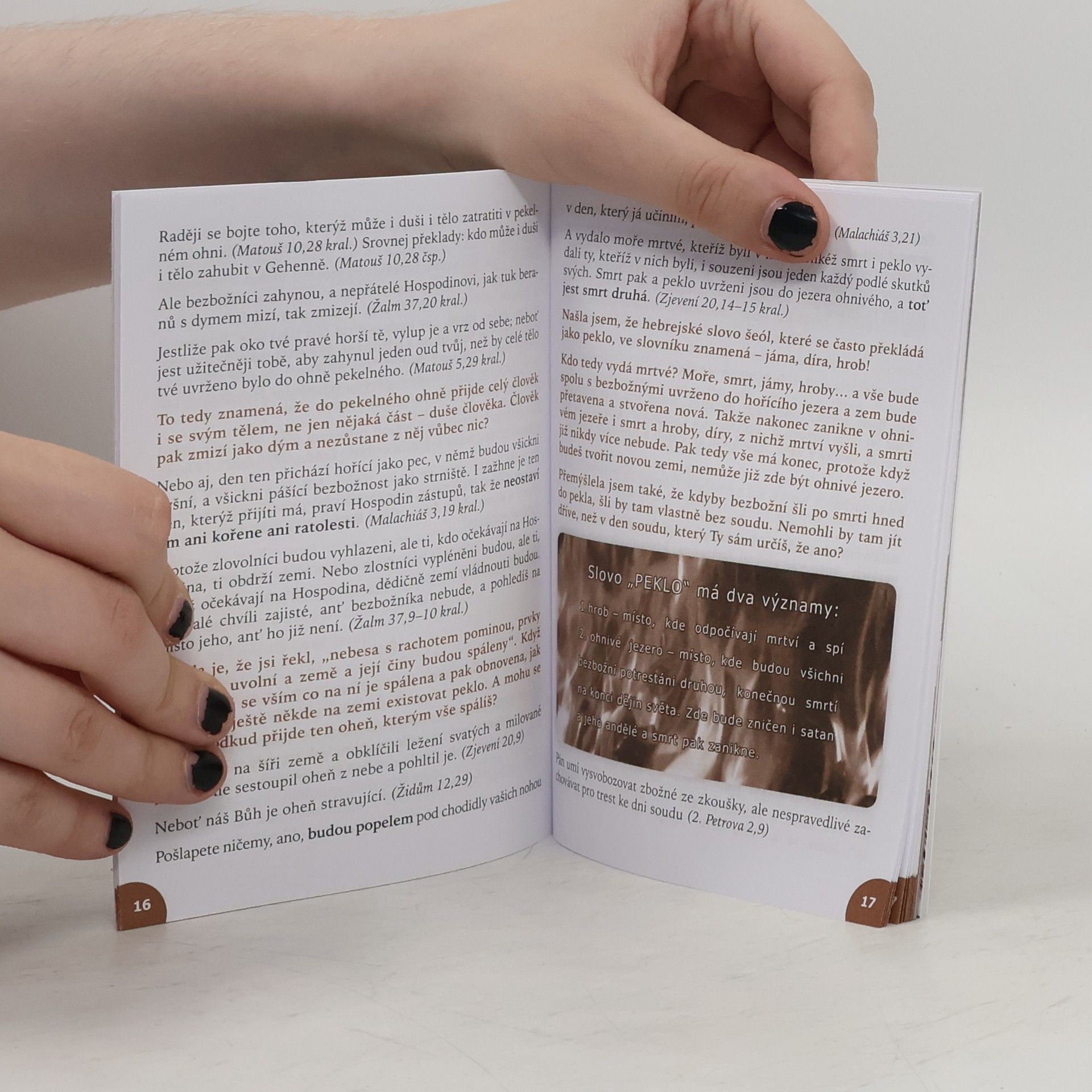 Autorenkollektiv Můj rozhovor s Ježíšem Kristem: Co je po smrti