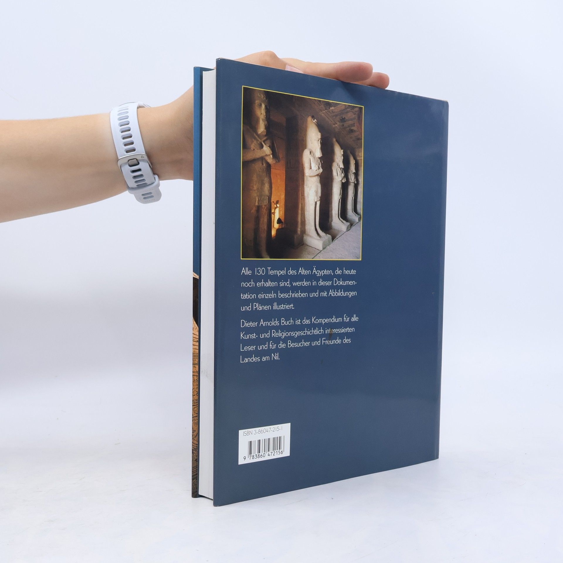 Dieter Arnold Die Tempel Ägyptens