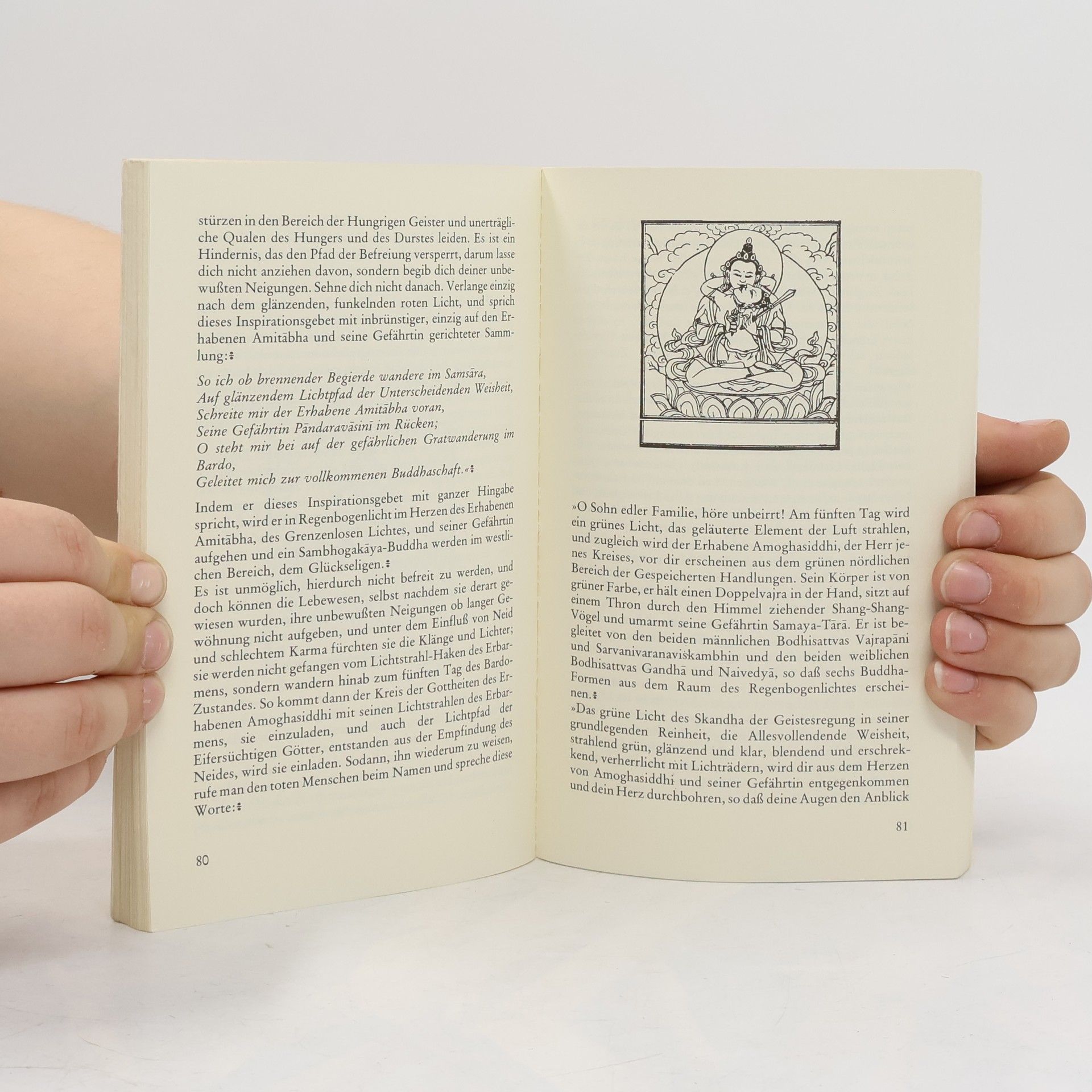 Kolektiv autorů Das Totenbuch der Tibeter