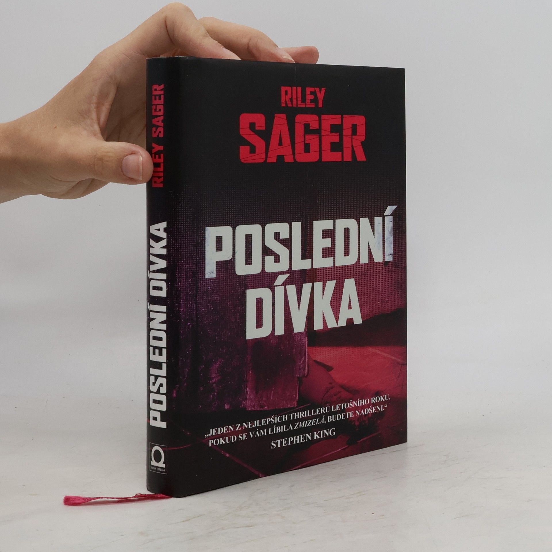 Todd Ritter Poslední dívka