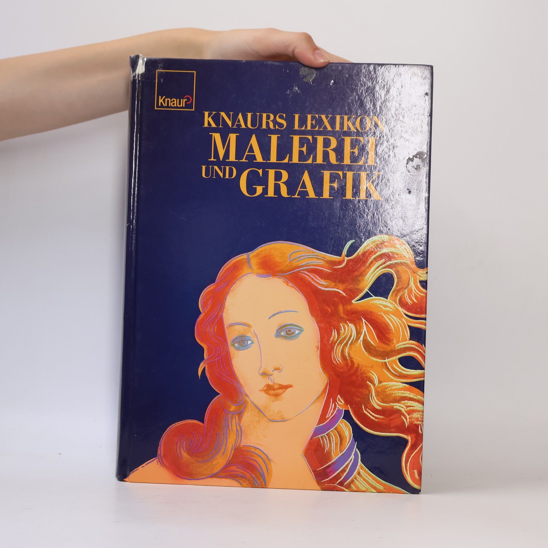 Matthias Knauff Knaurs Lexikon Malerei und Grafik