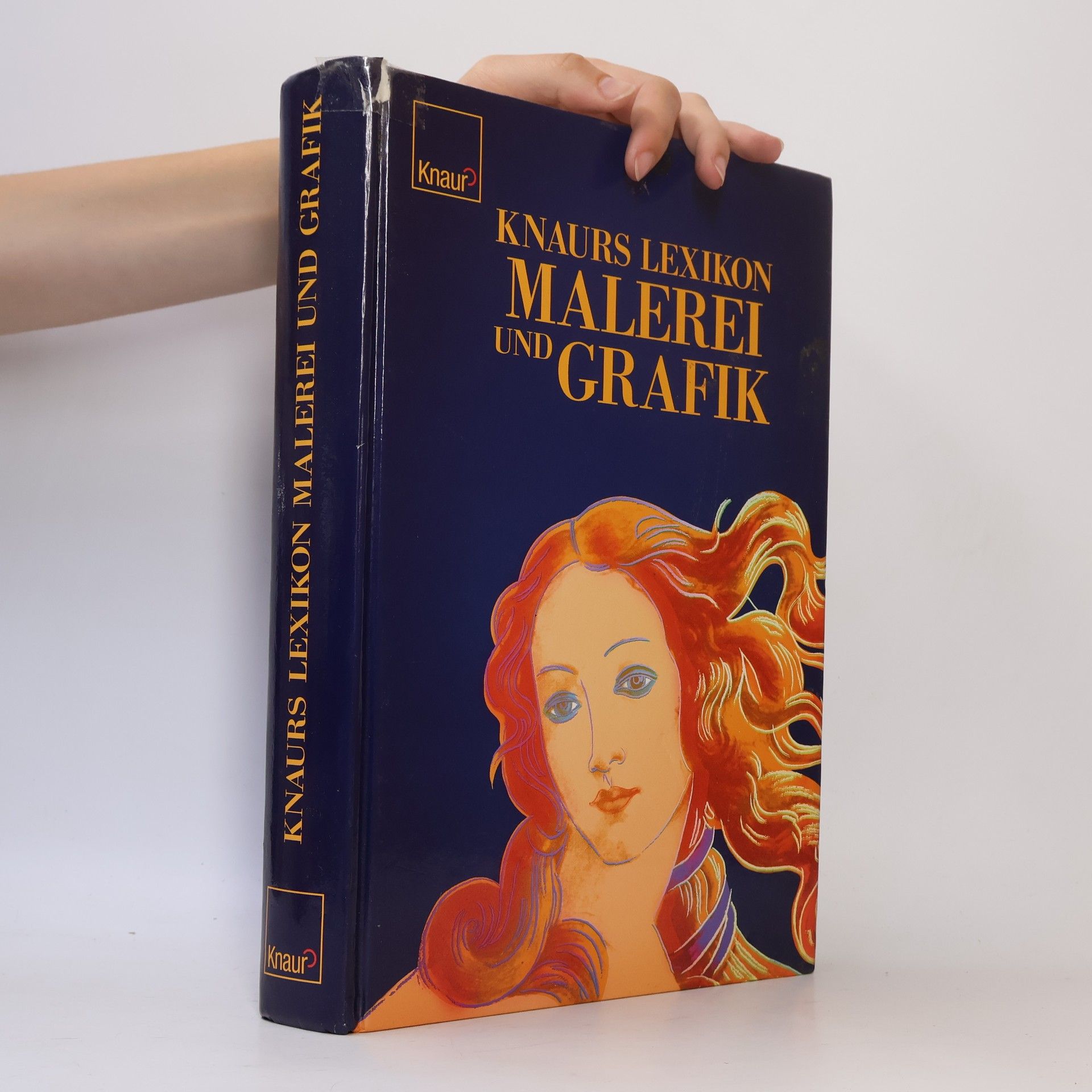 Matthias Knauff Knaurs Lexikon Malerei und Grafik