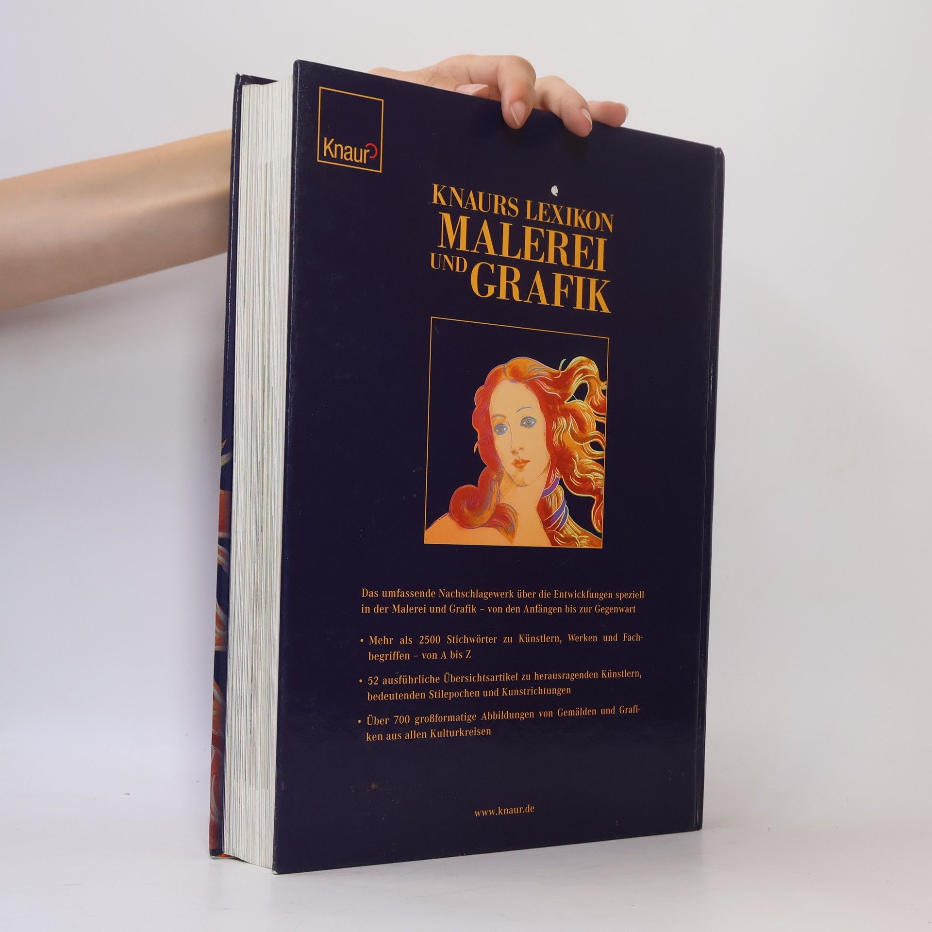Matthias Knauff Knaurs Lexikon Malerei und Grafik