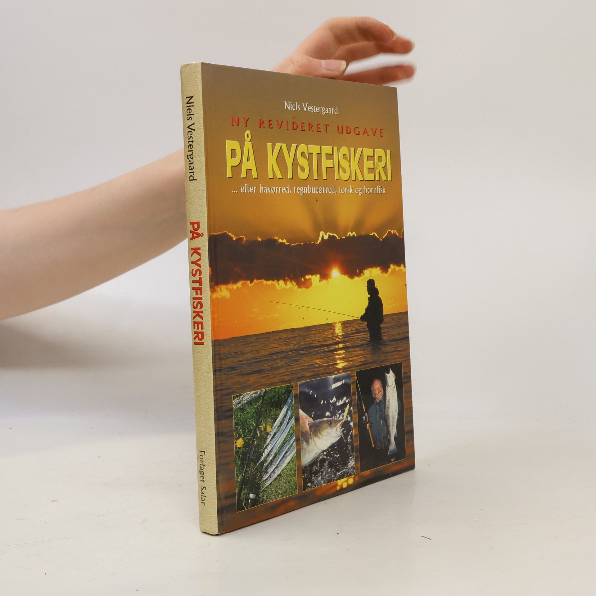 Niels Vestergaard På Kystfiskeri