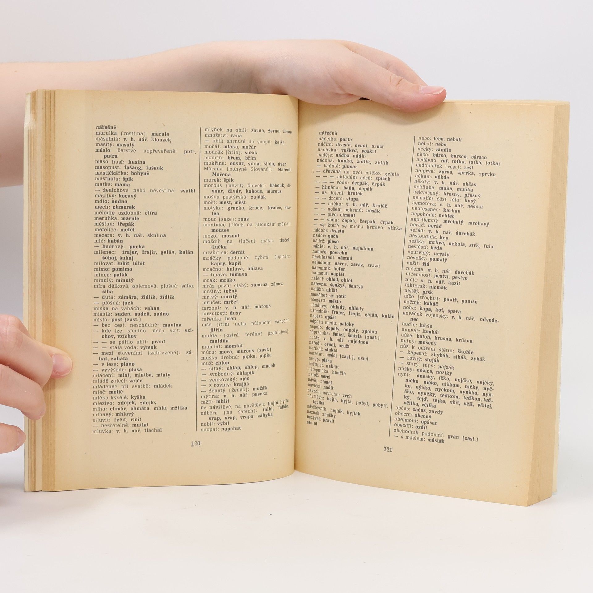 Autorenkollektiv Křížovkářský slovník