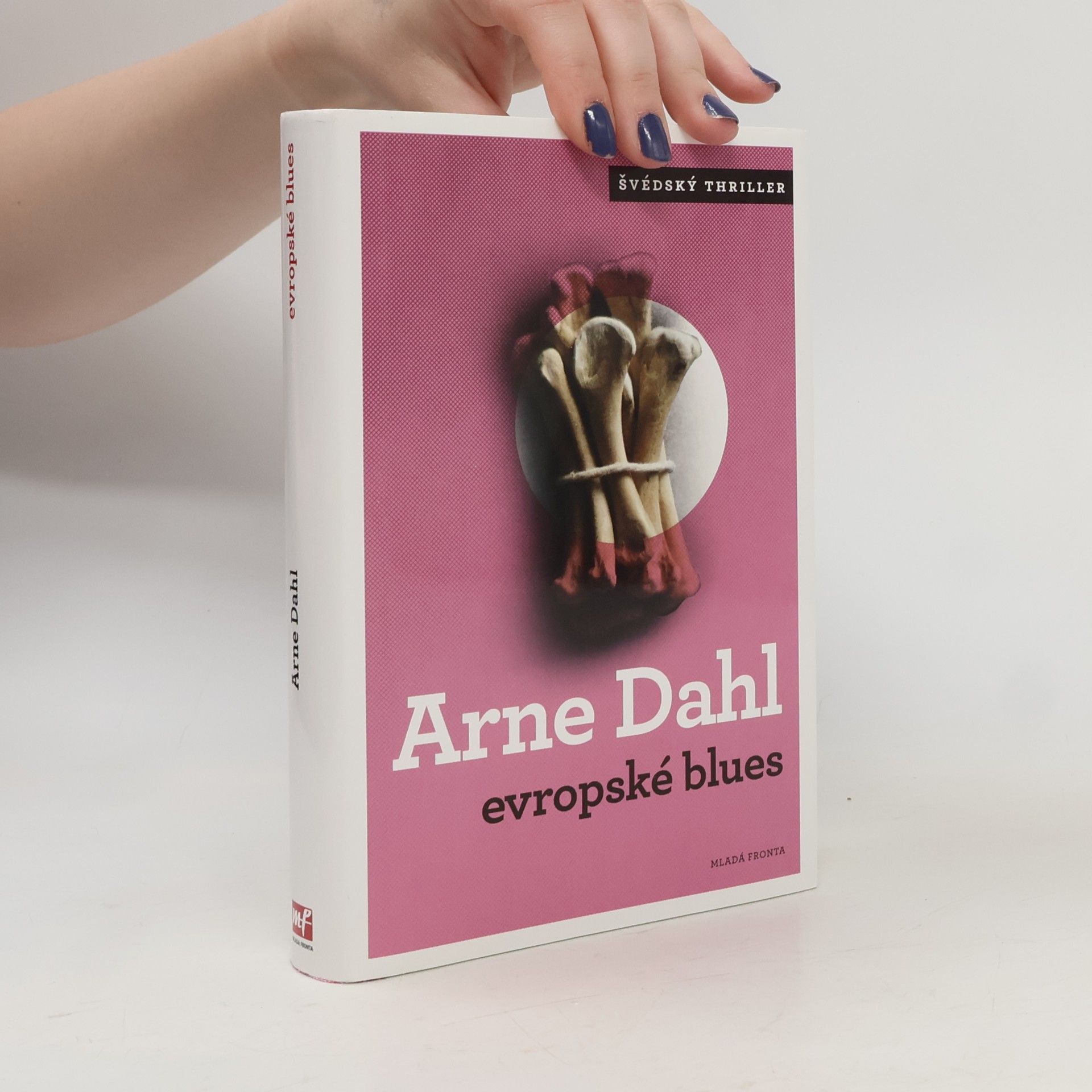 Arne Dahl Evropské blues