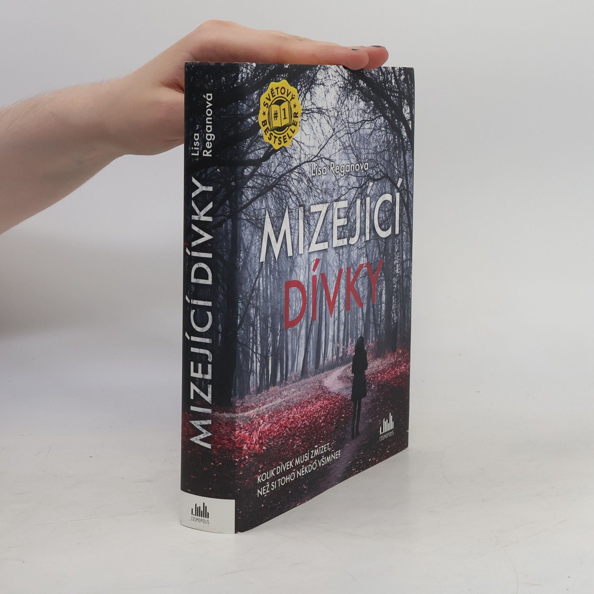 Lisa Regan Mizející dívky