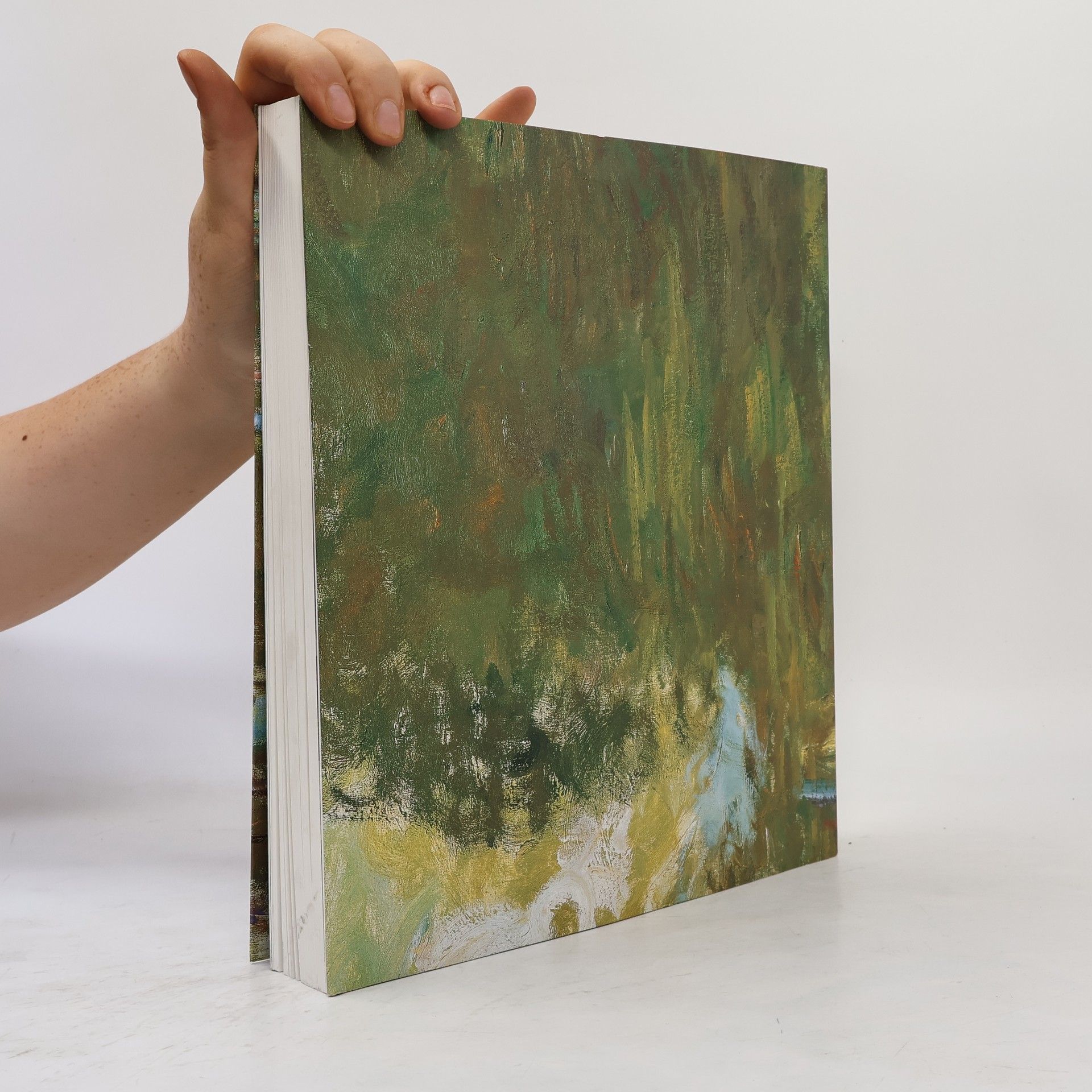 Susanne Berchtold Monet bis Picasso - die Sammlung Batliner