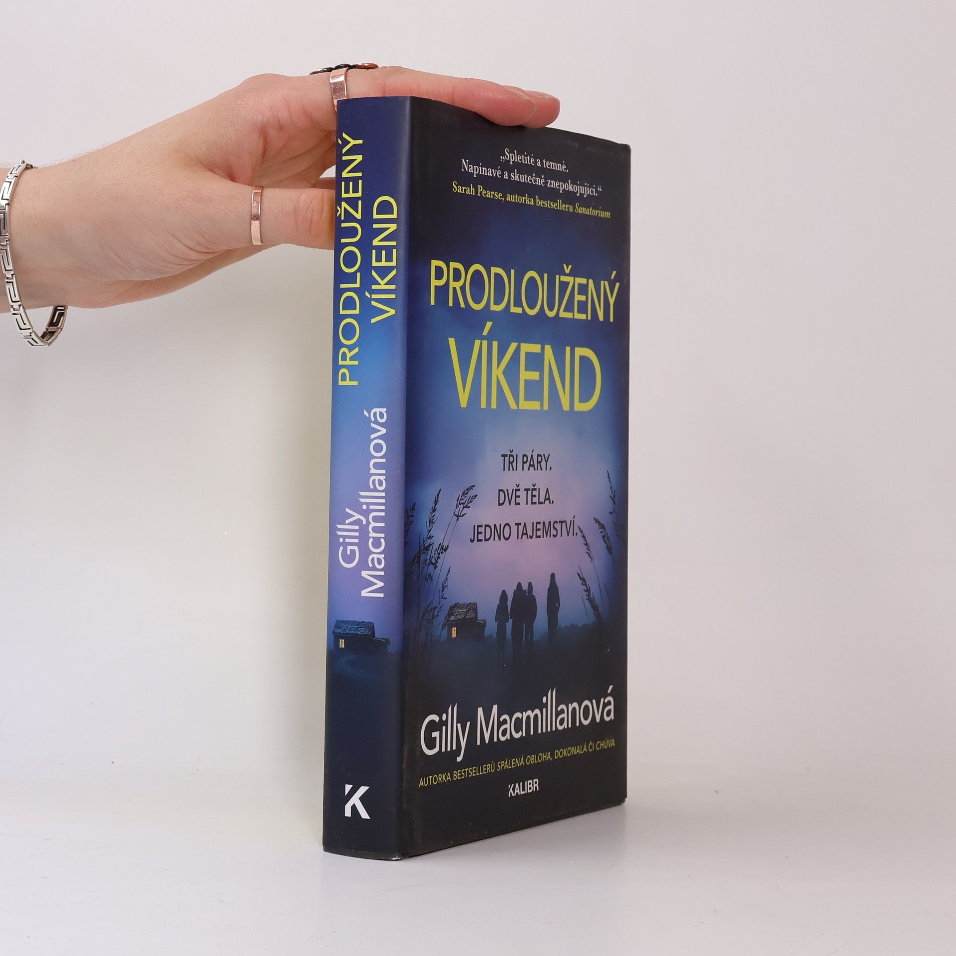 Gilly Macmillan Prodloužený víkend
