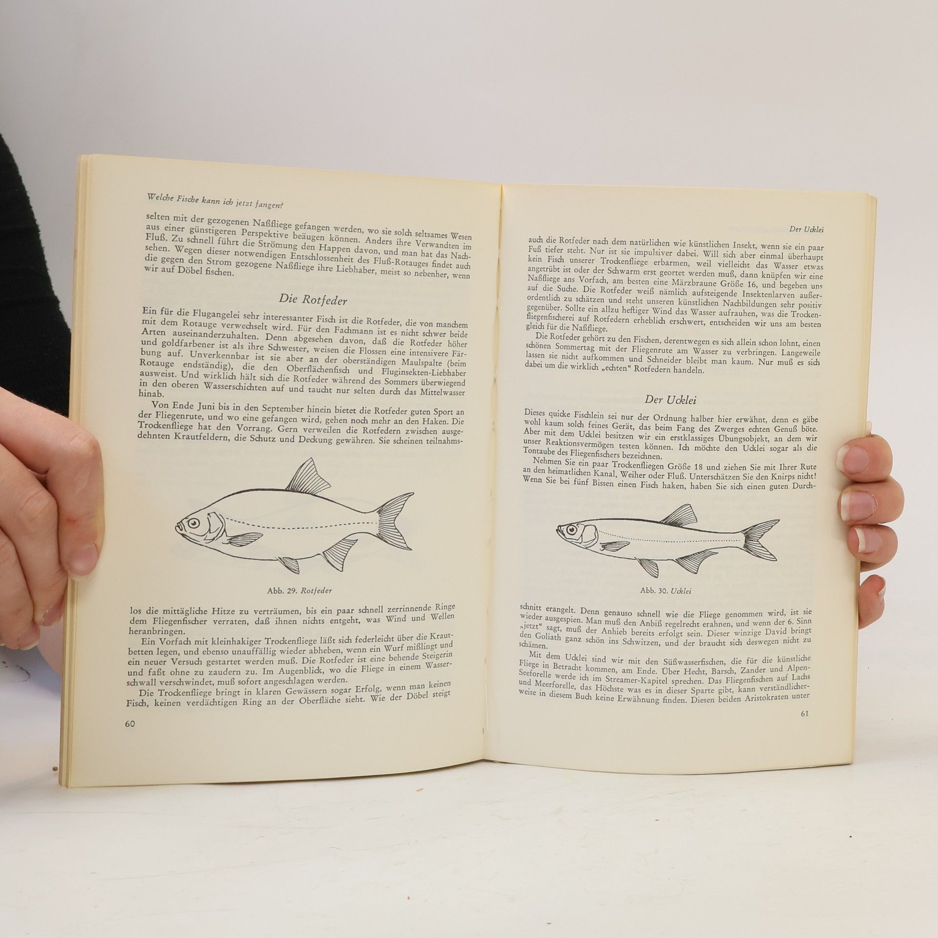 Hans Steinfort Fliegenfischen für Anfänger - 2. Auflage