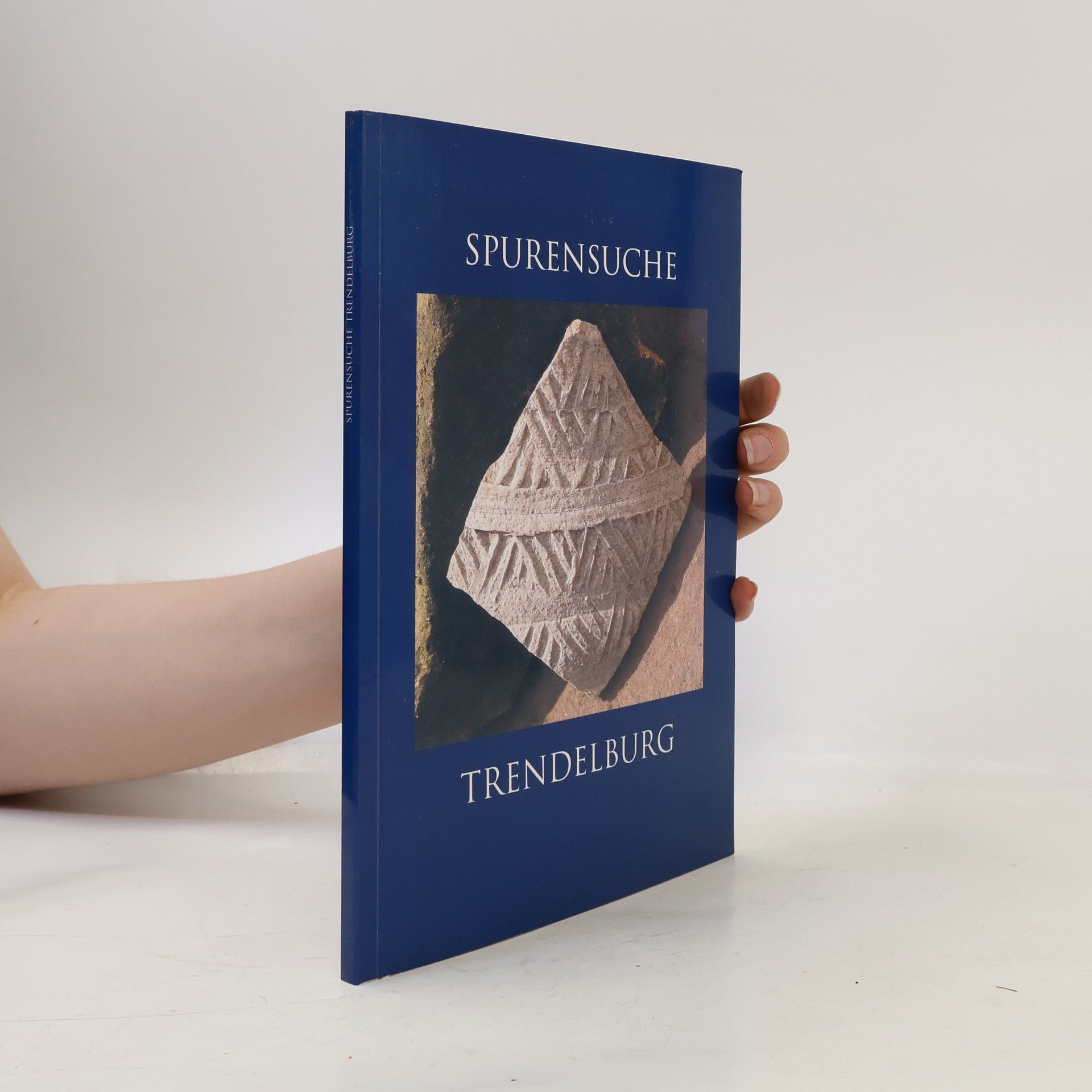 Harald Schmidt Spurensuche zur Geschichte der Stadt Trendelburg