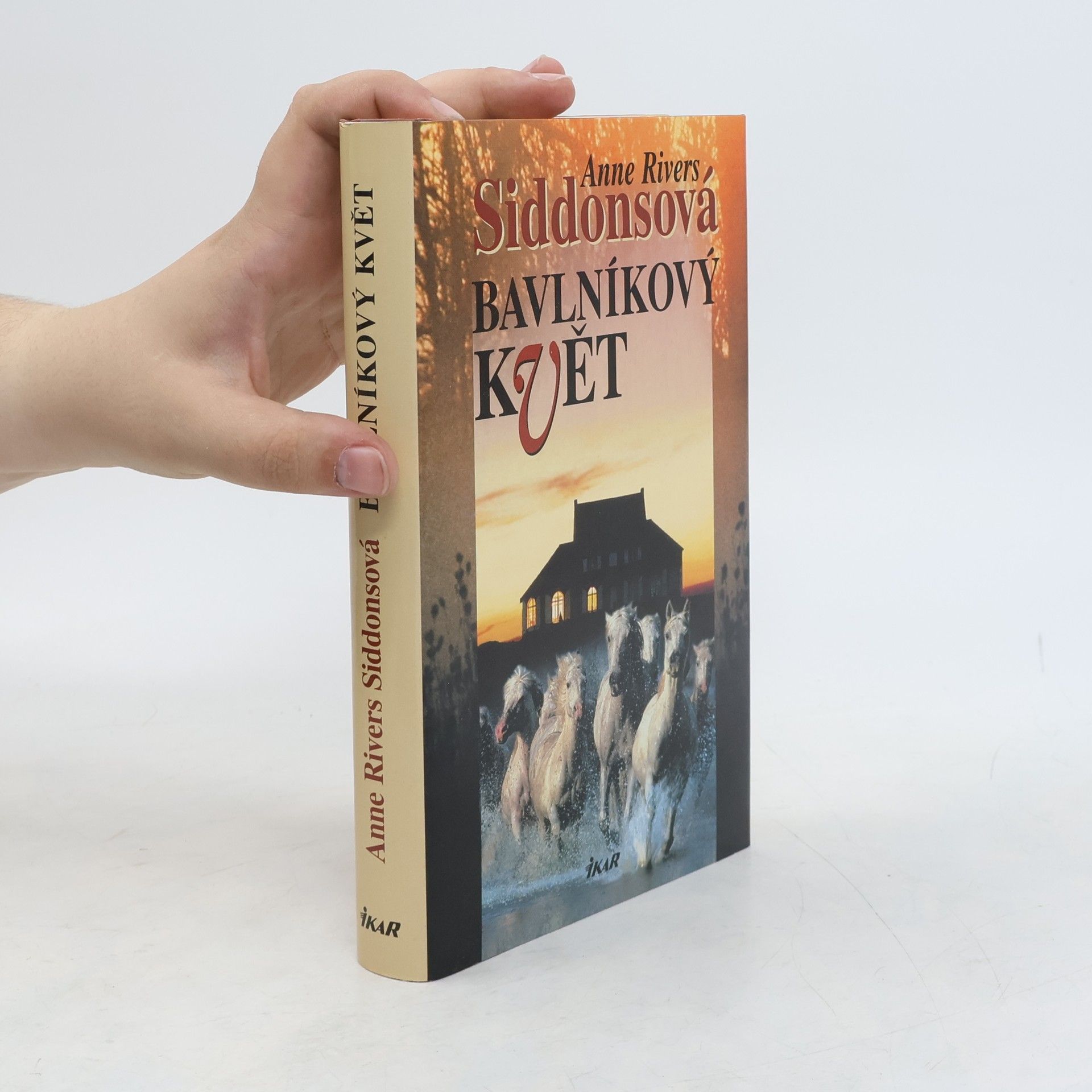Anne Rivers Siddons Bavlníkový květ