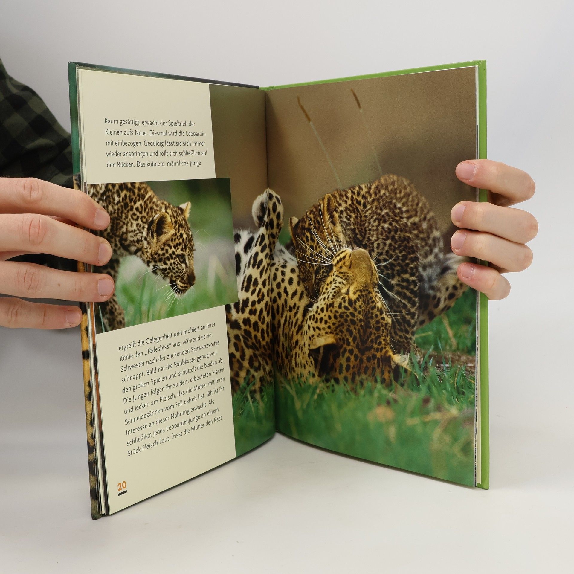 Gabriela Staebler Wilde Kinder - Leoparden